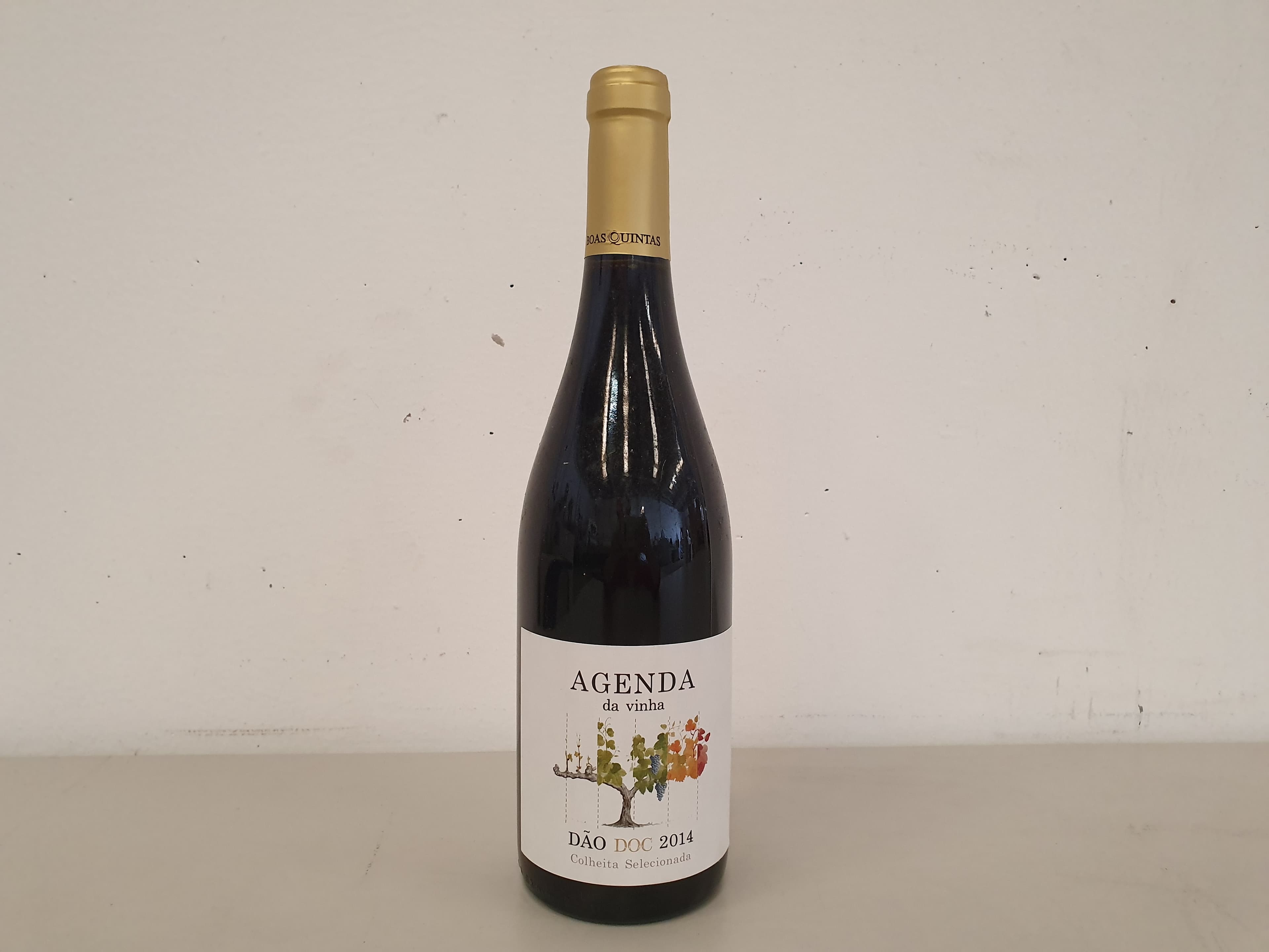 Garrafas Vinho