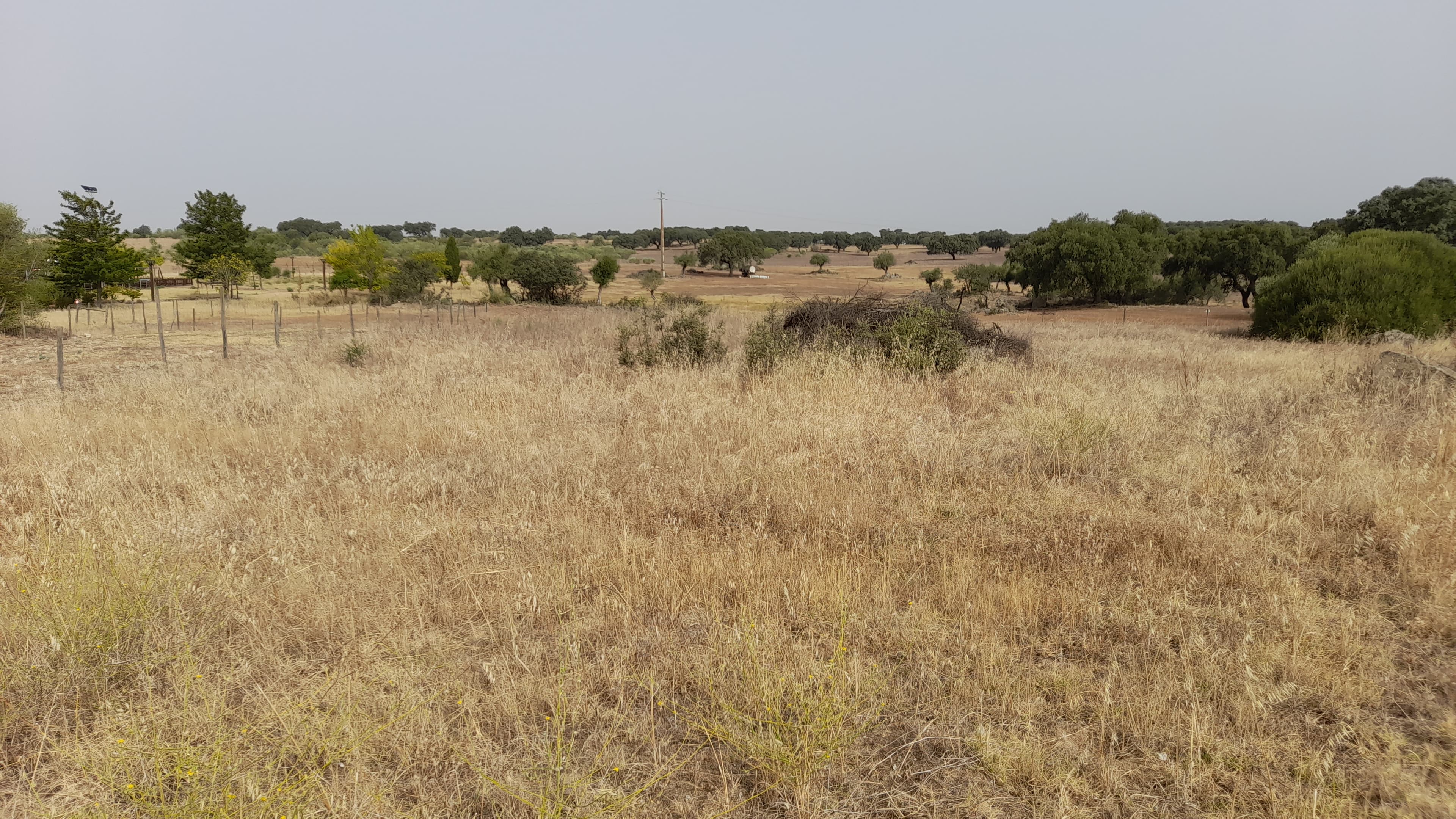 Terreno para Construção