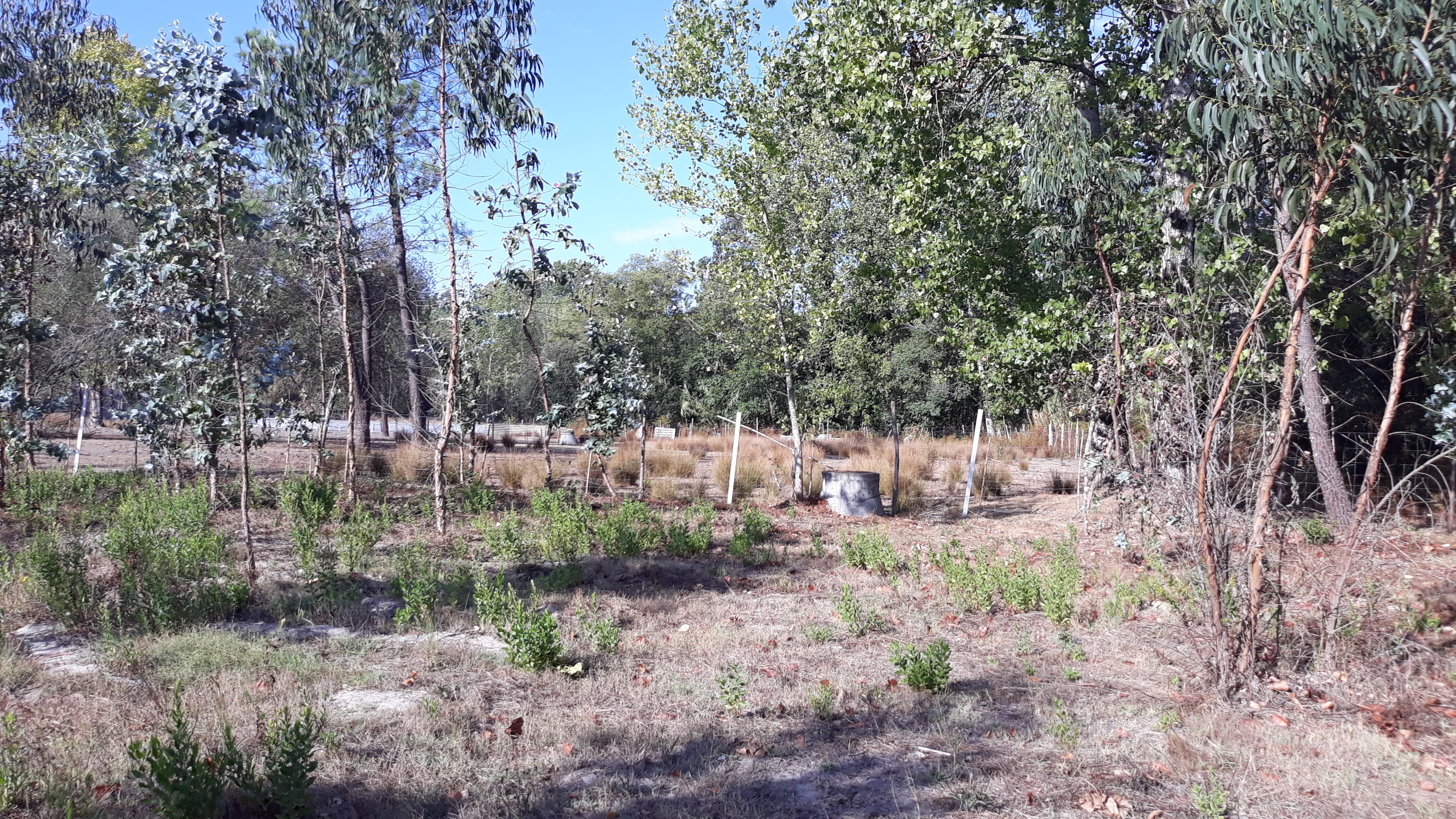 Terreno