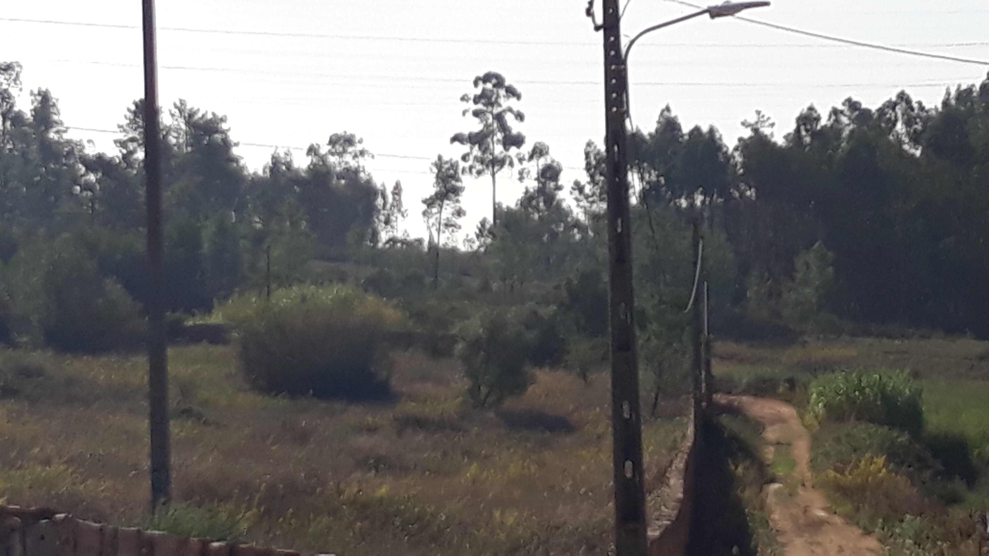 Terreno