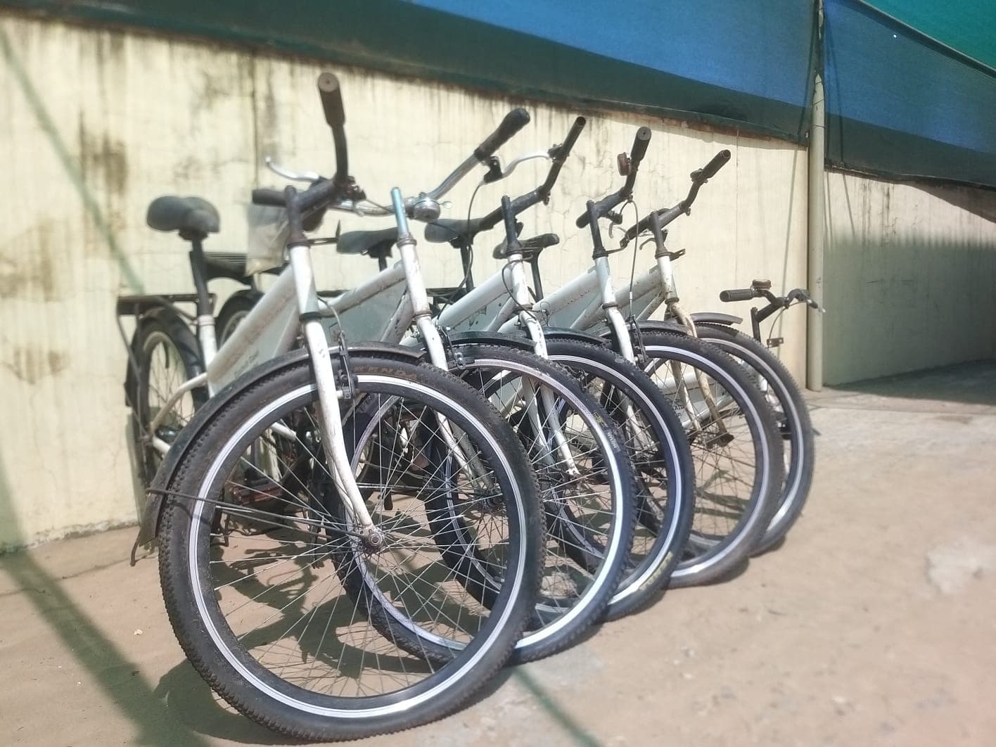 Bicicletas