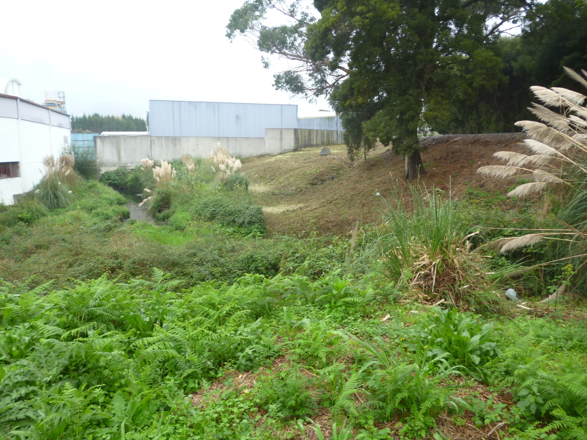 Terreno