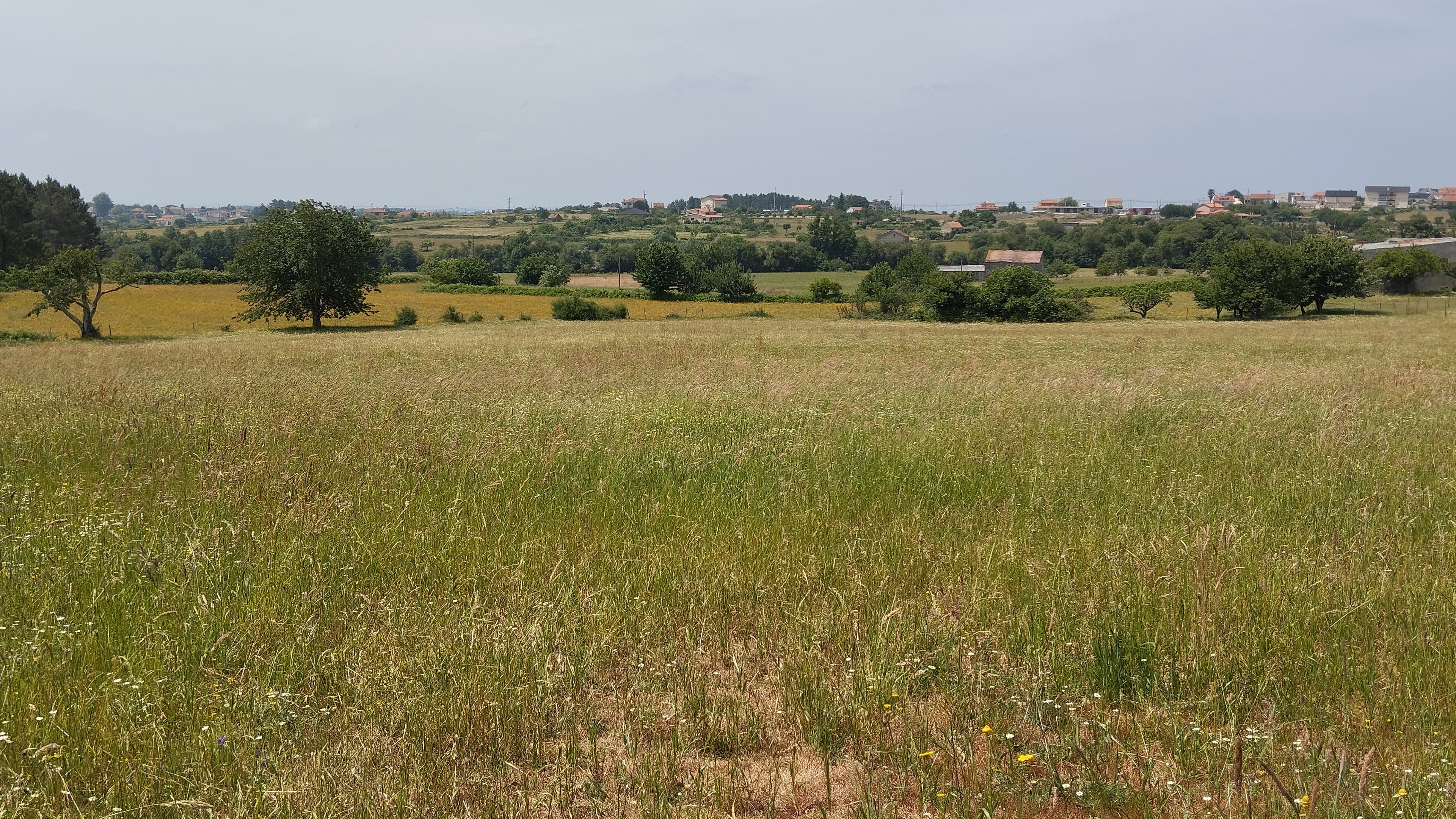 Terreno