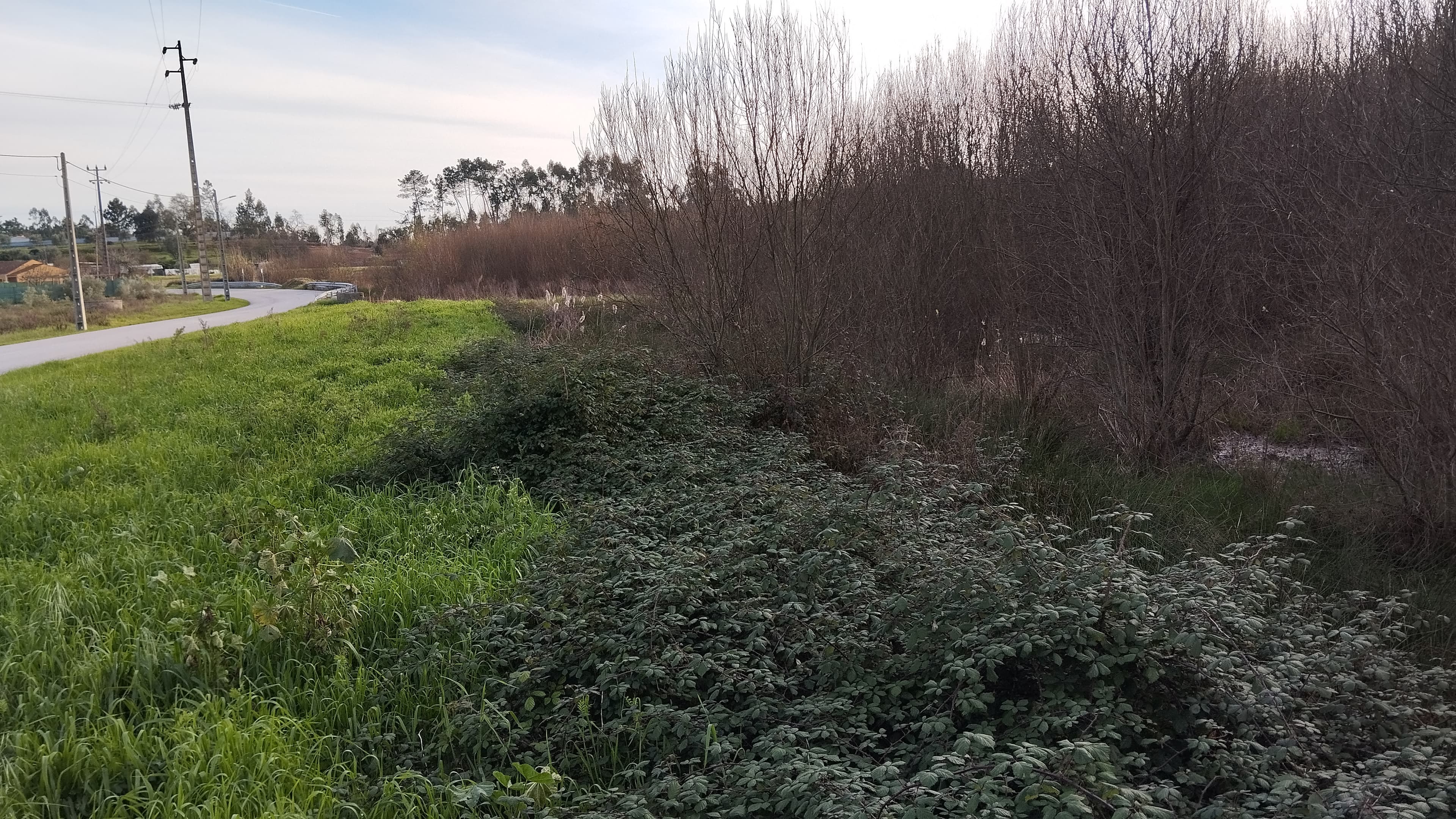 Terreno - Pombal