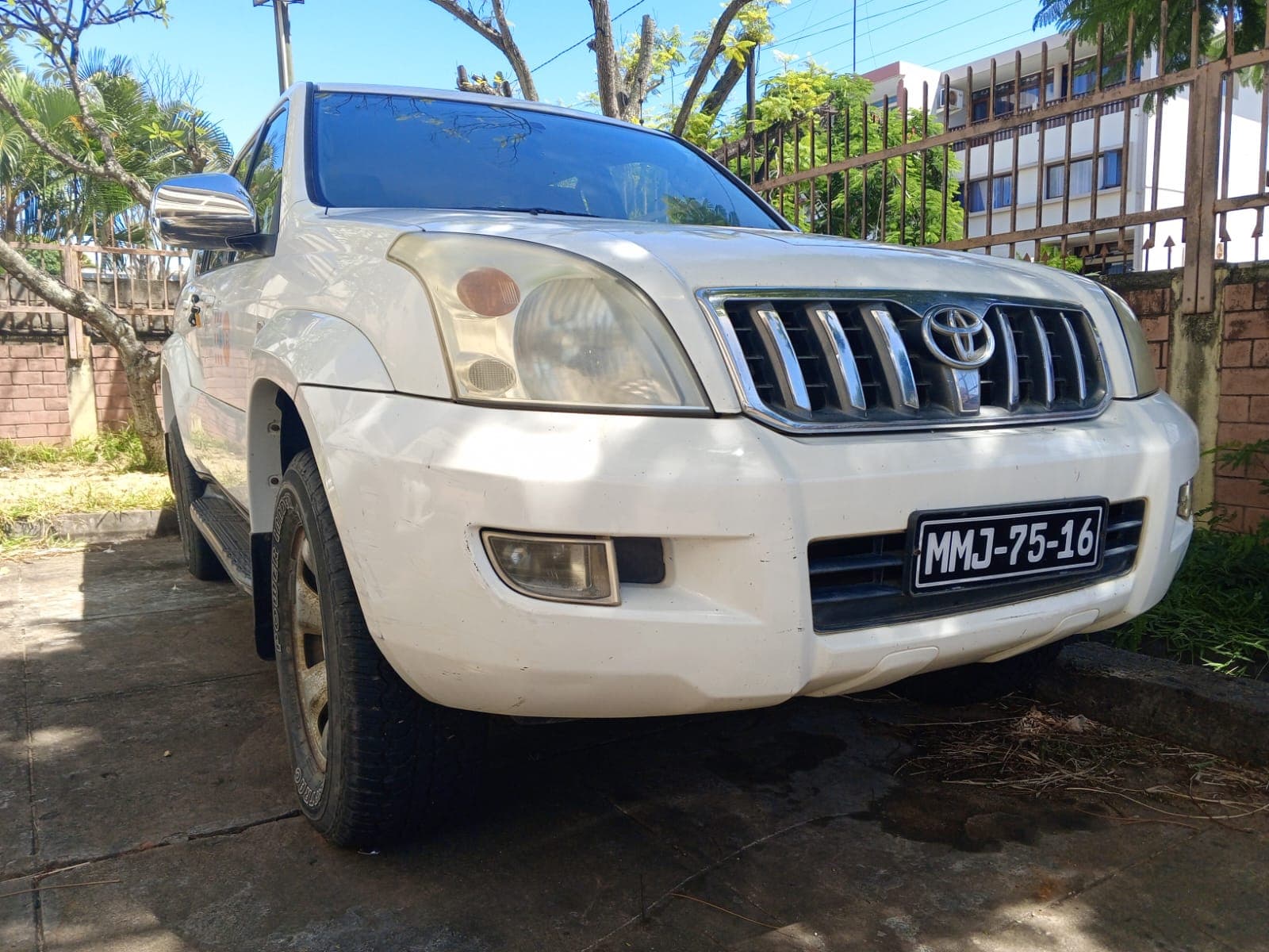 Toyota Prado