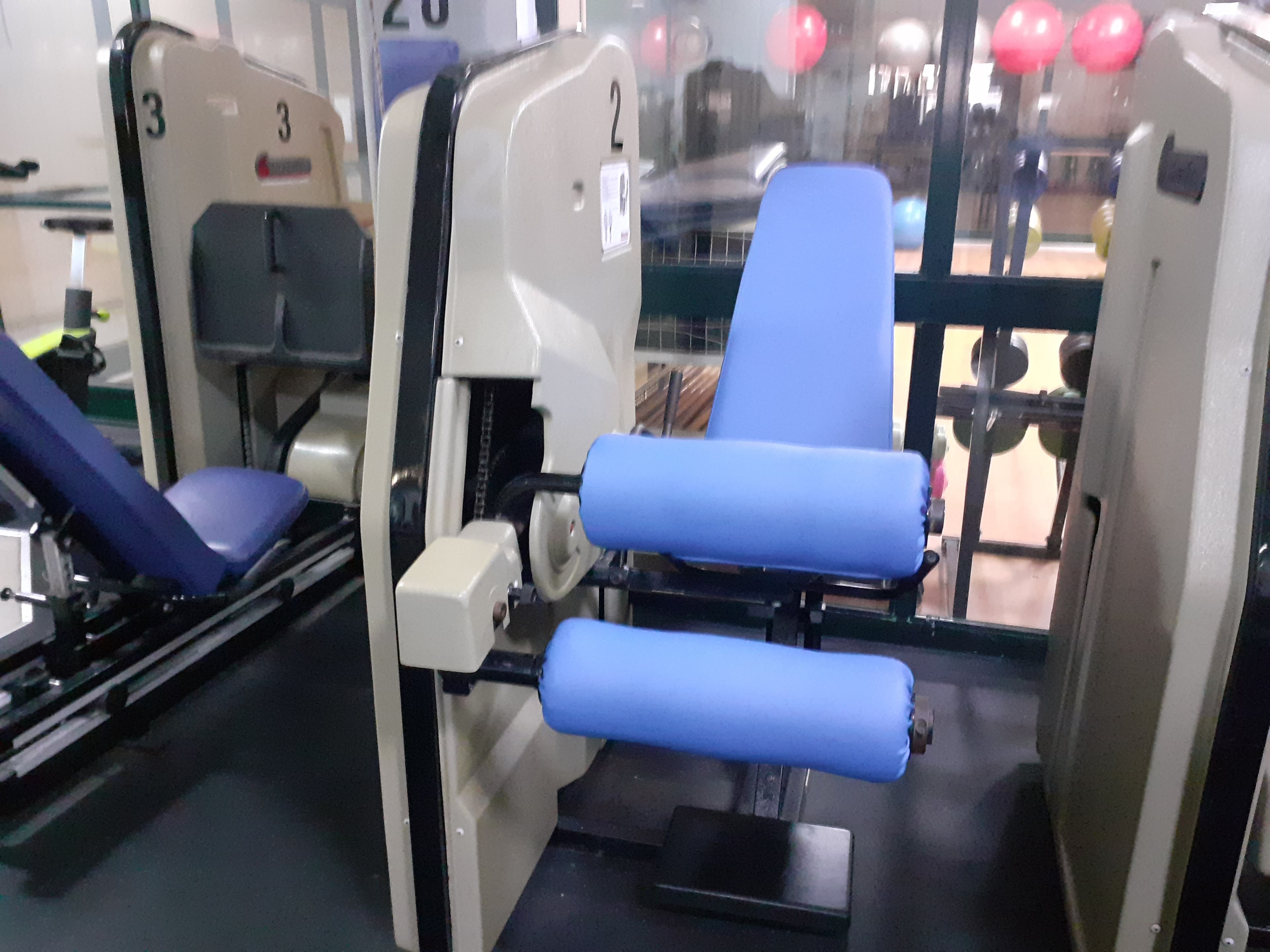 Seated Leg Curl · Leg Extension