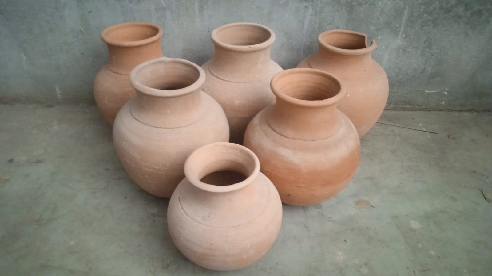 Vasos Decorativos