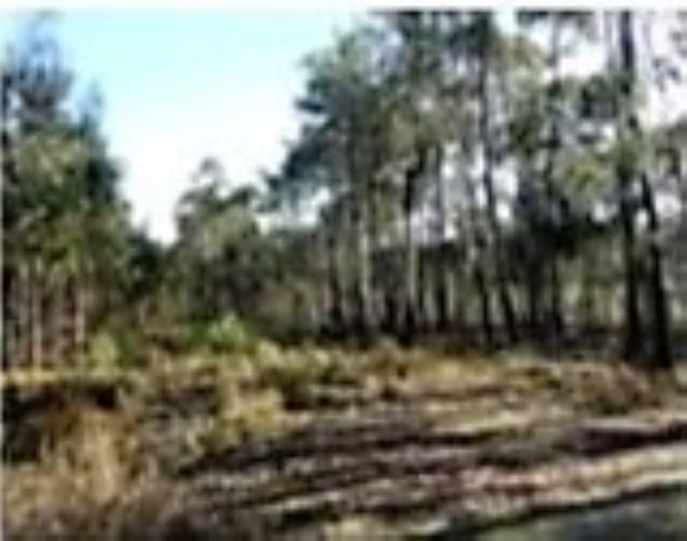 1/6 de Terreno