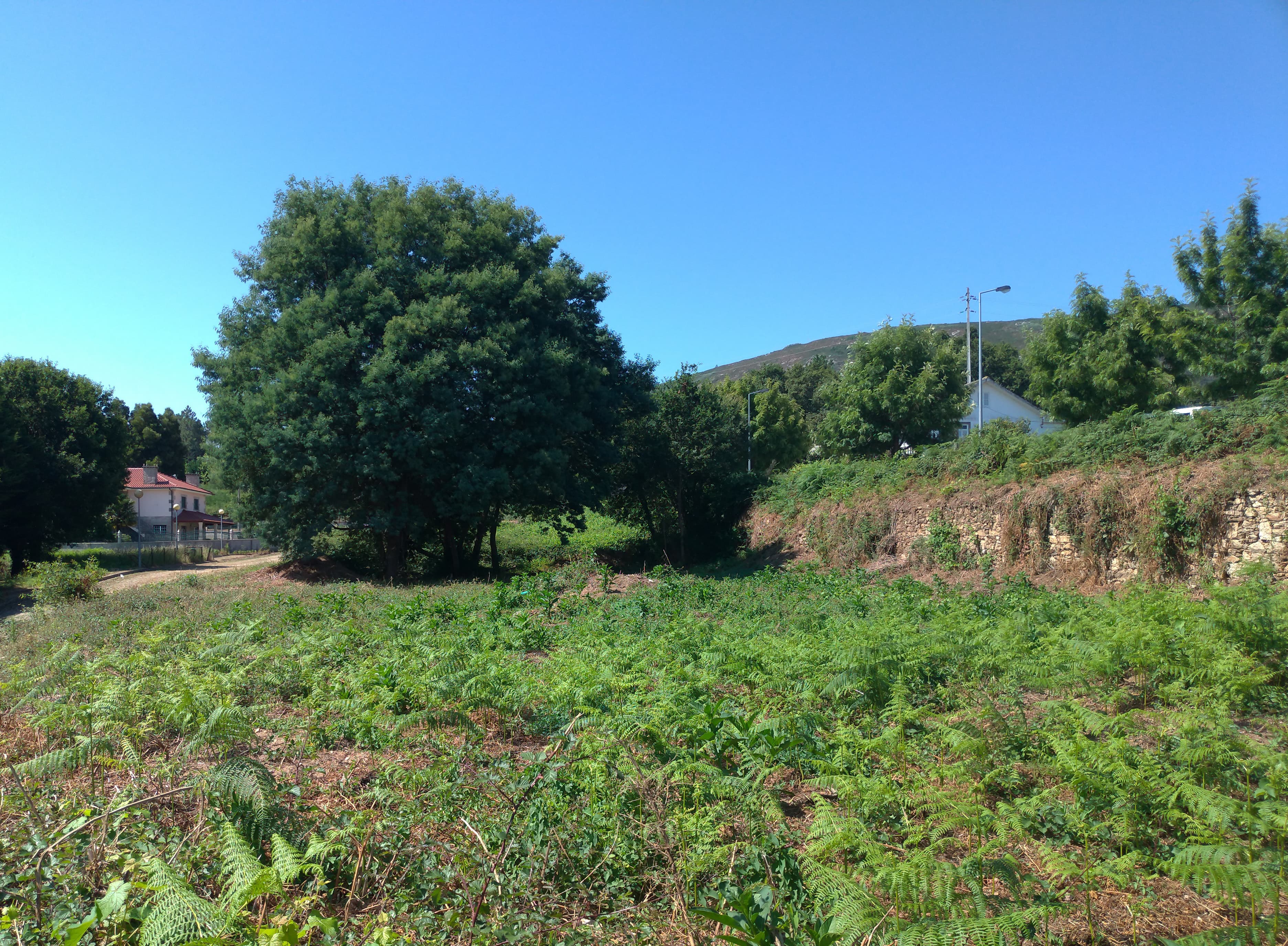Lote p/ Construção · Venade, Caminha