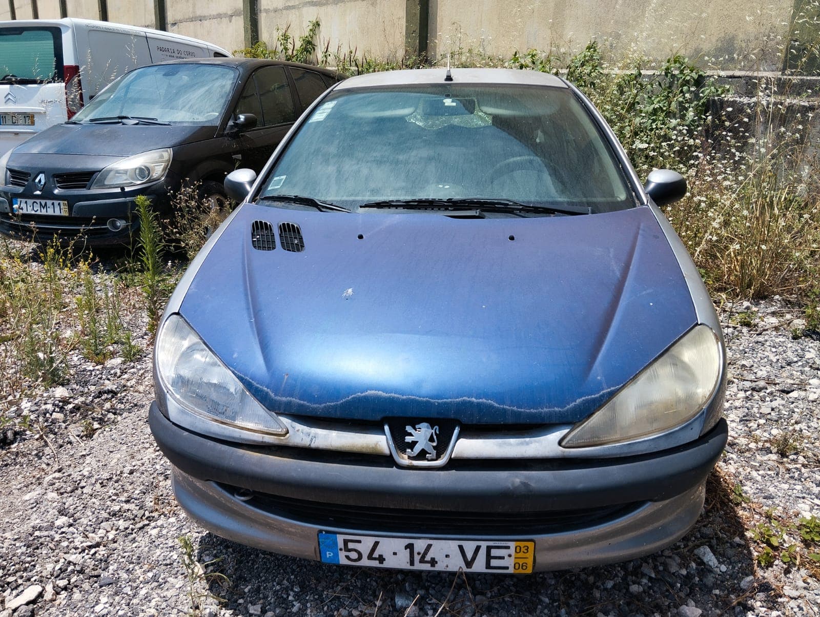 Peugeot 206 Ano 2003