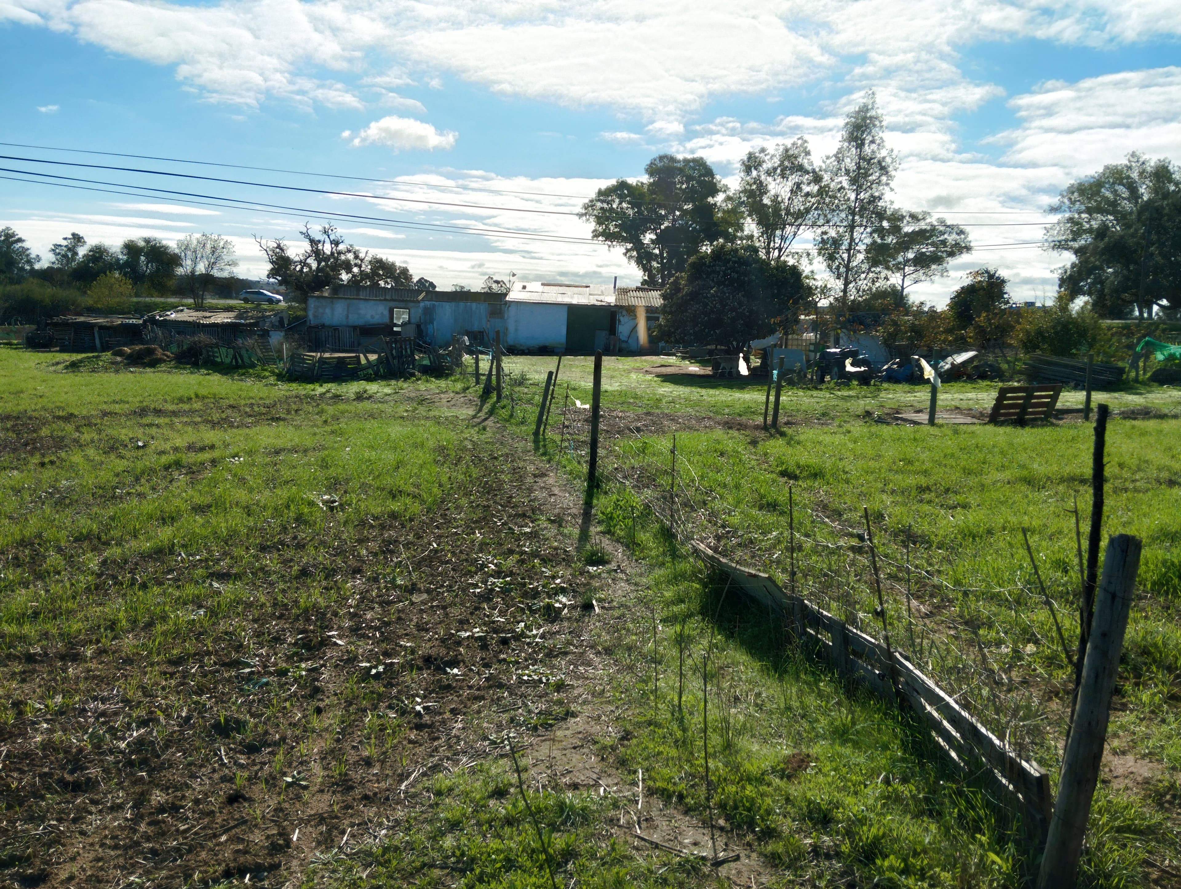 Terreno