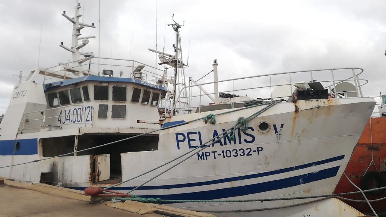 Um Atuneiro | One Longliner - PELAMIS V