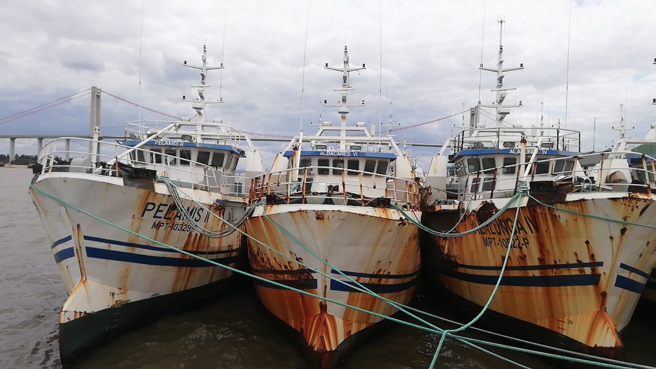 Três Atuneiros | Three Longliners - ALBACARES VI + PALAMIS I + PELAMIS VI