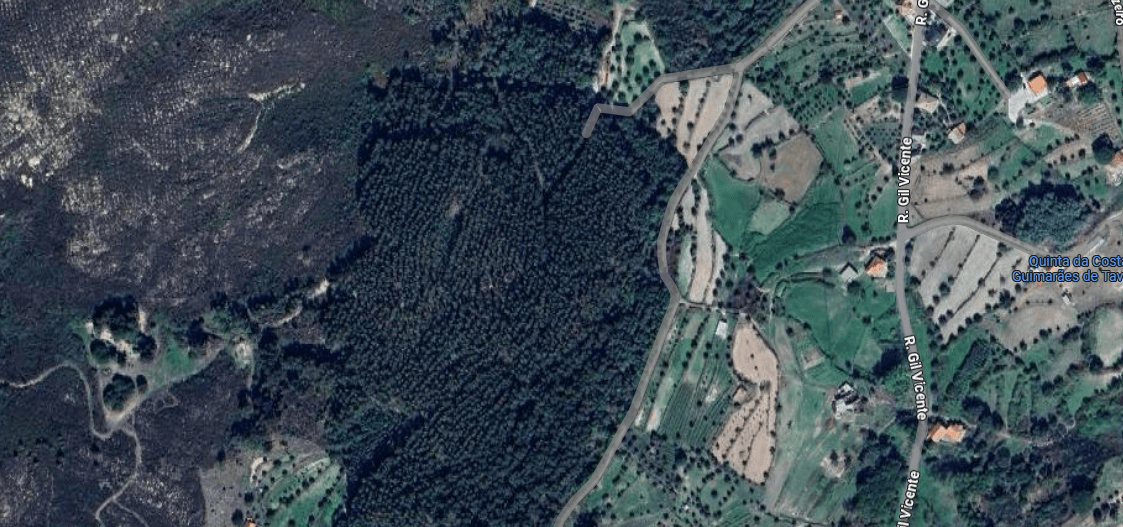 Terreno