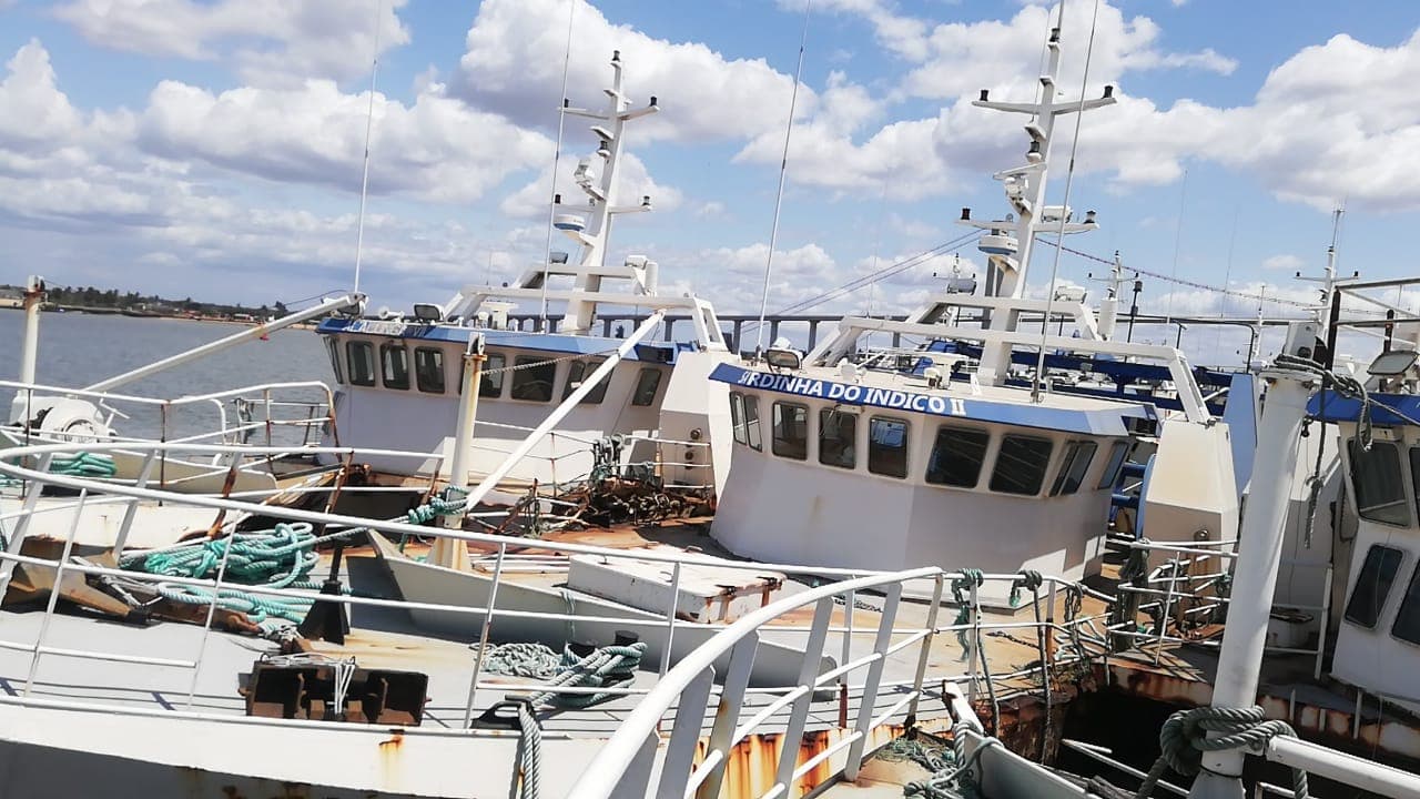 Um Arrastão | One Trawler -  SARDINHA II (1)
