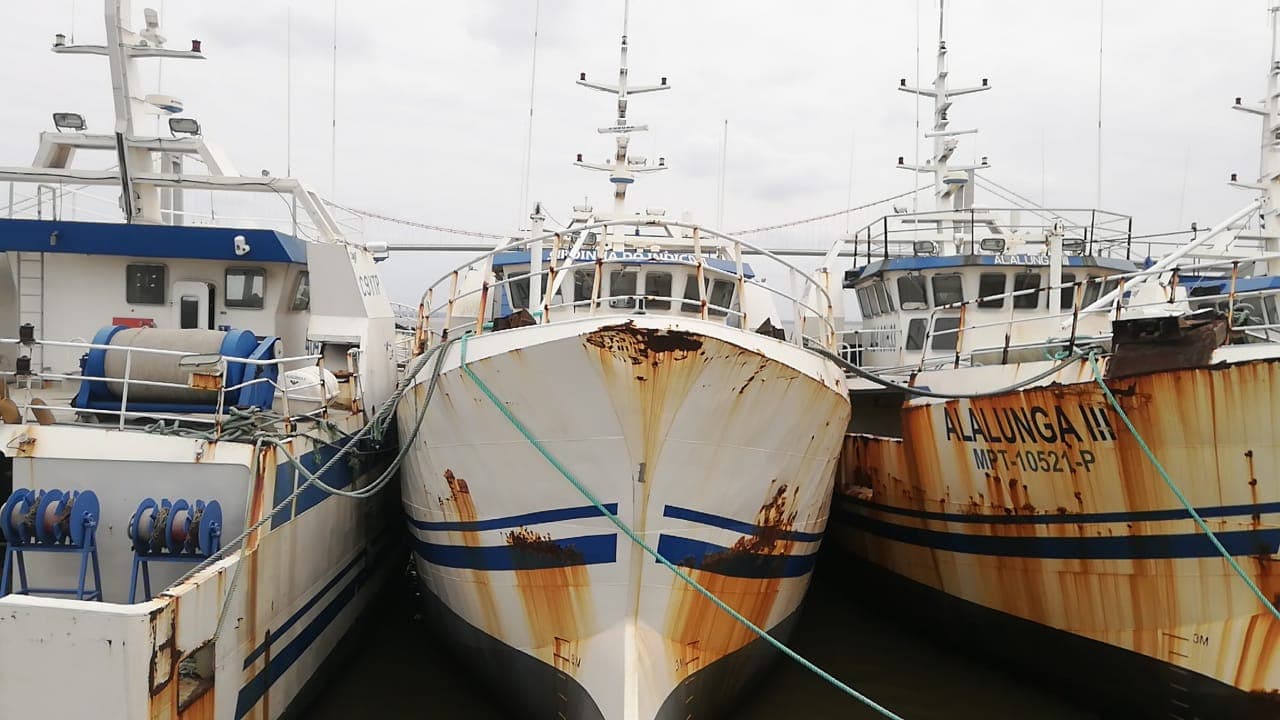 Um Arrastão | One Trawler -  SARDINHA III (1)