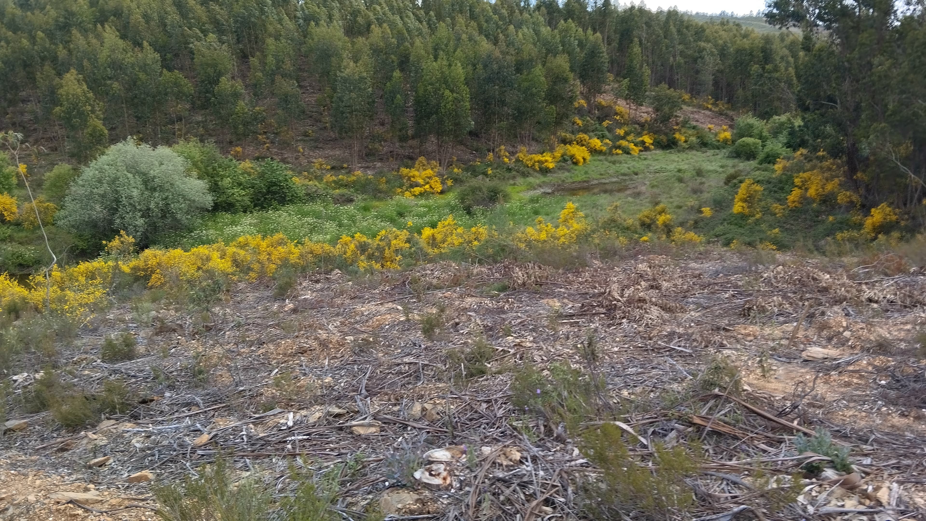 1/12 de Terreno