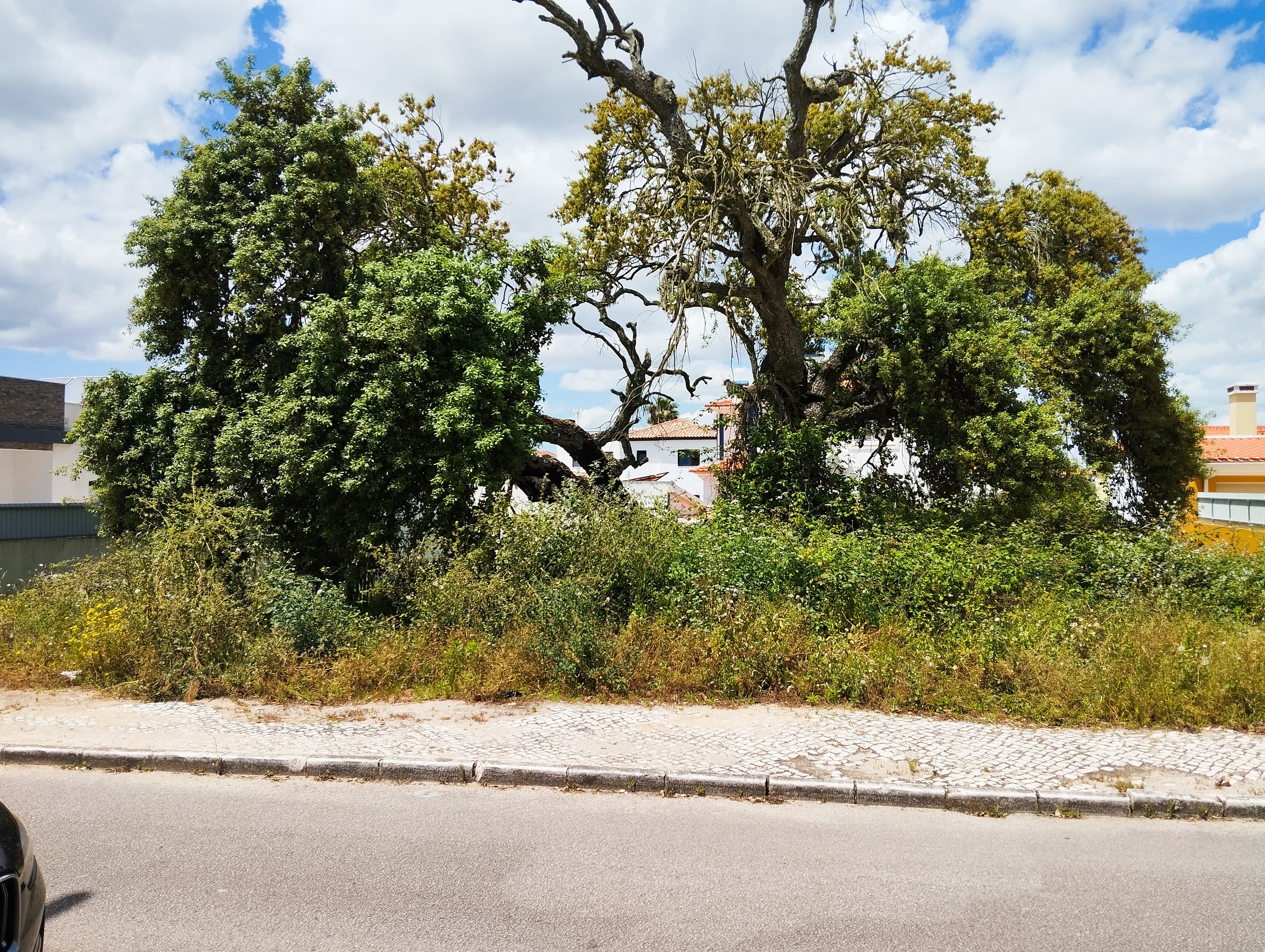 Terreno para Construção