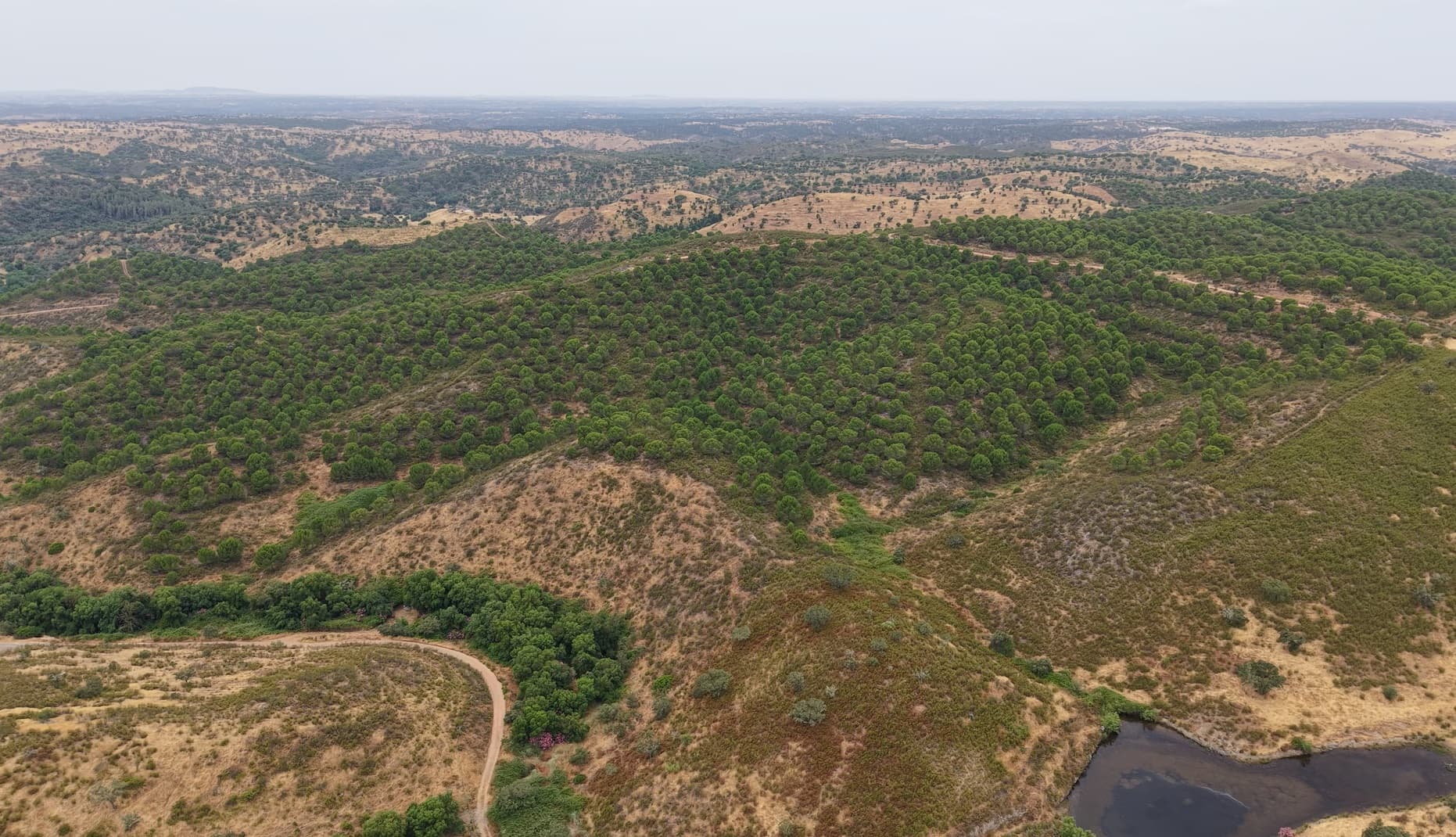 Herdade do Topo - "Monte da Janeila"