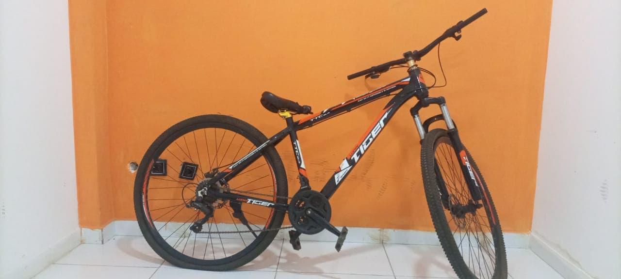 Bicicleta Lucky Tiger