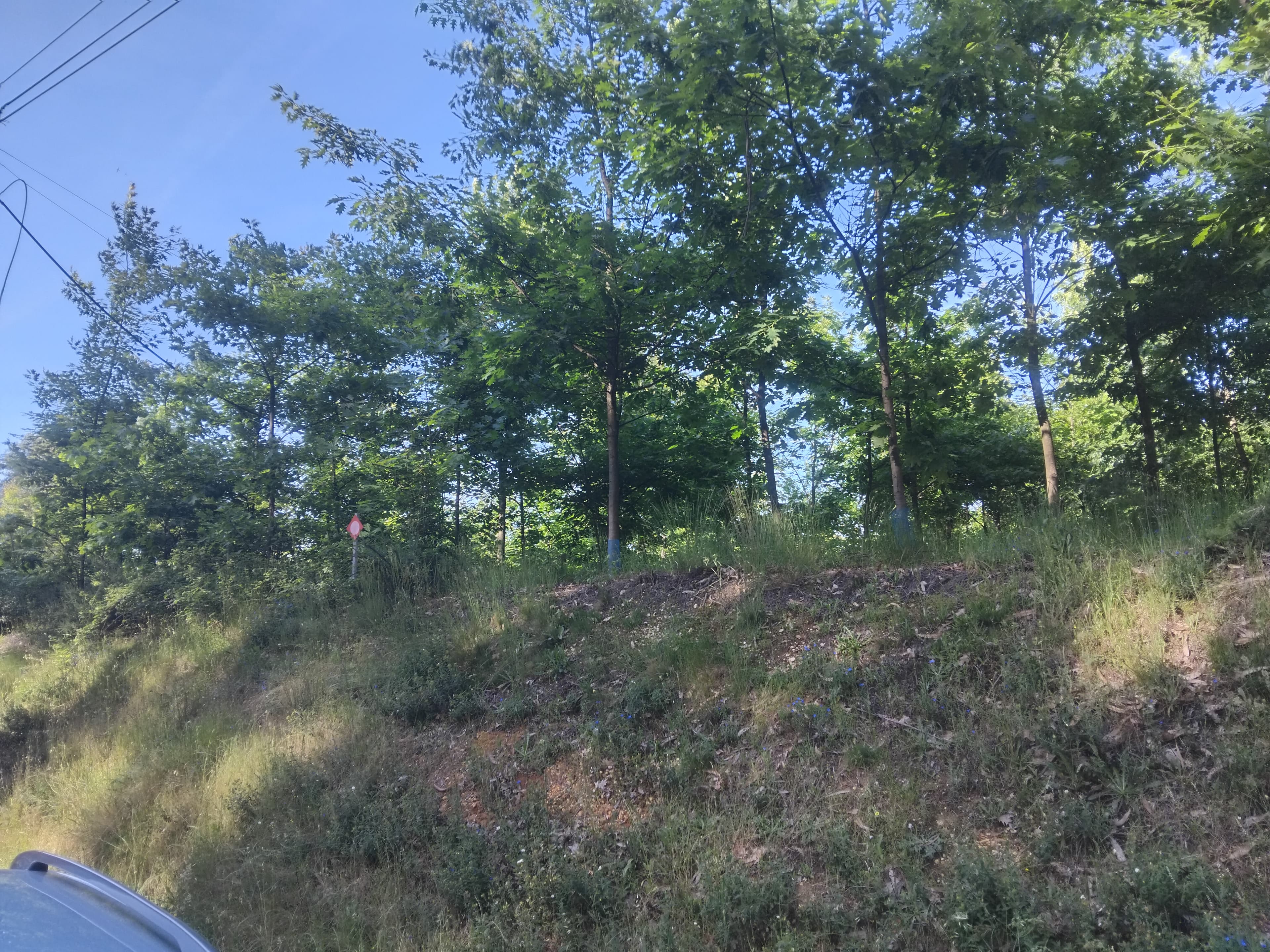 Terreno