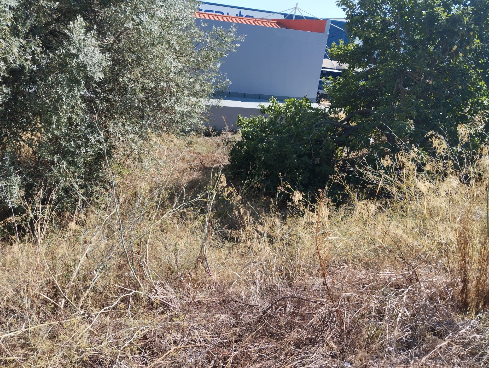 Terreno para Construção