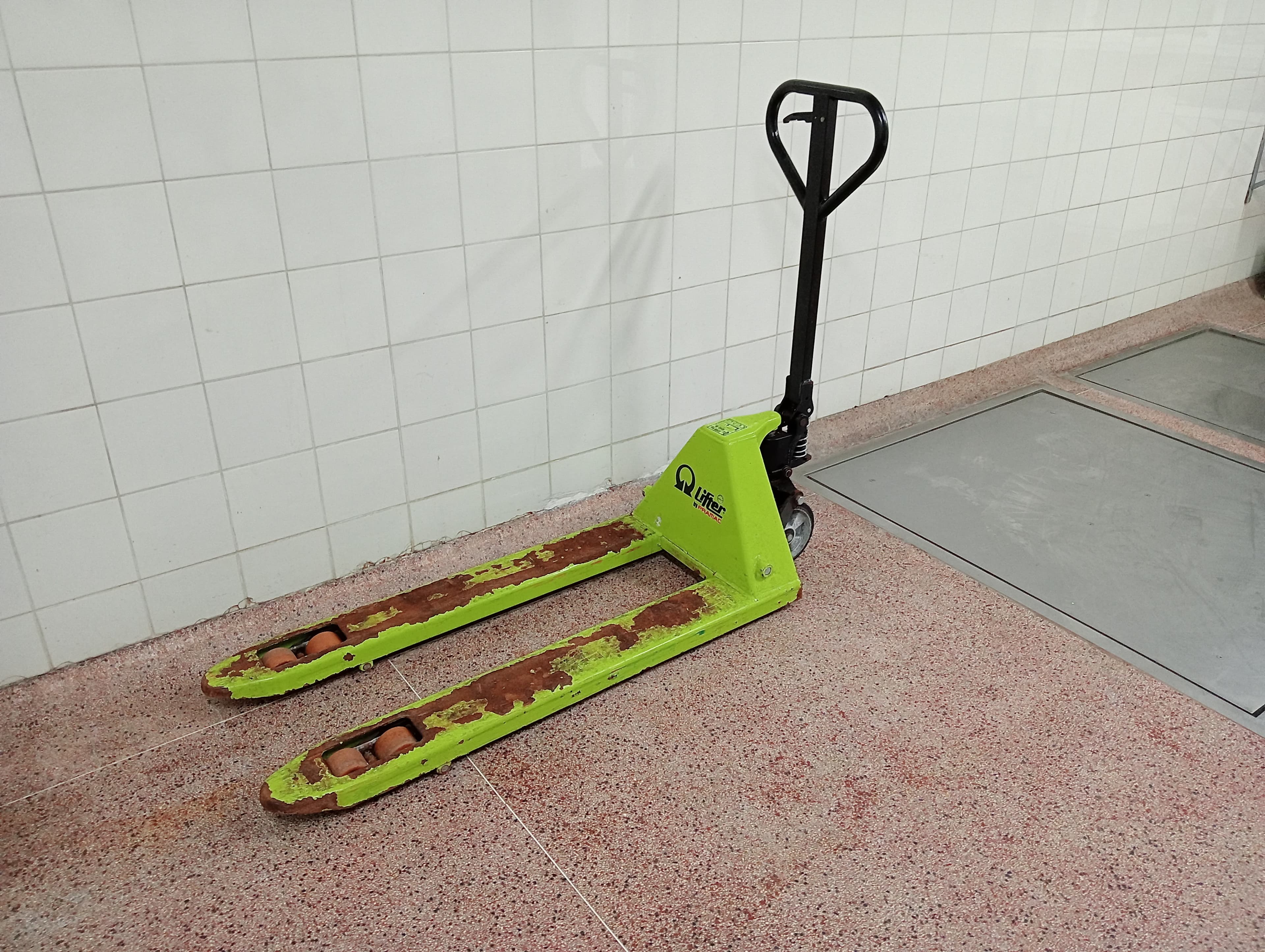 Carro porta paletes