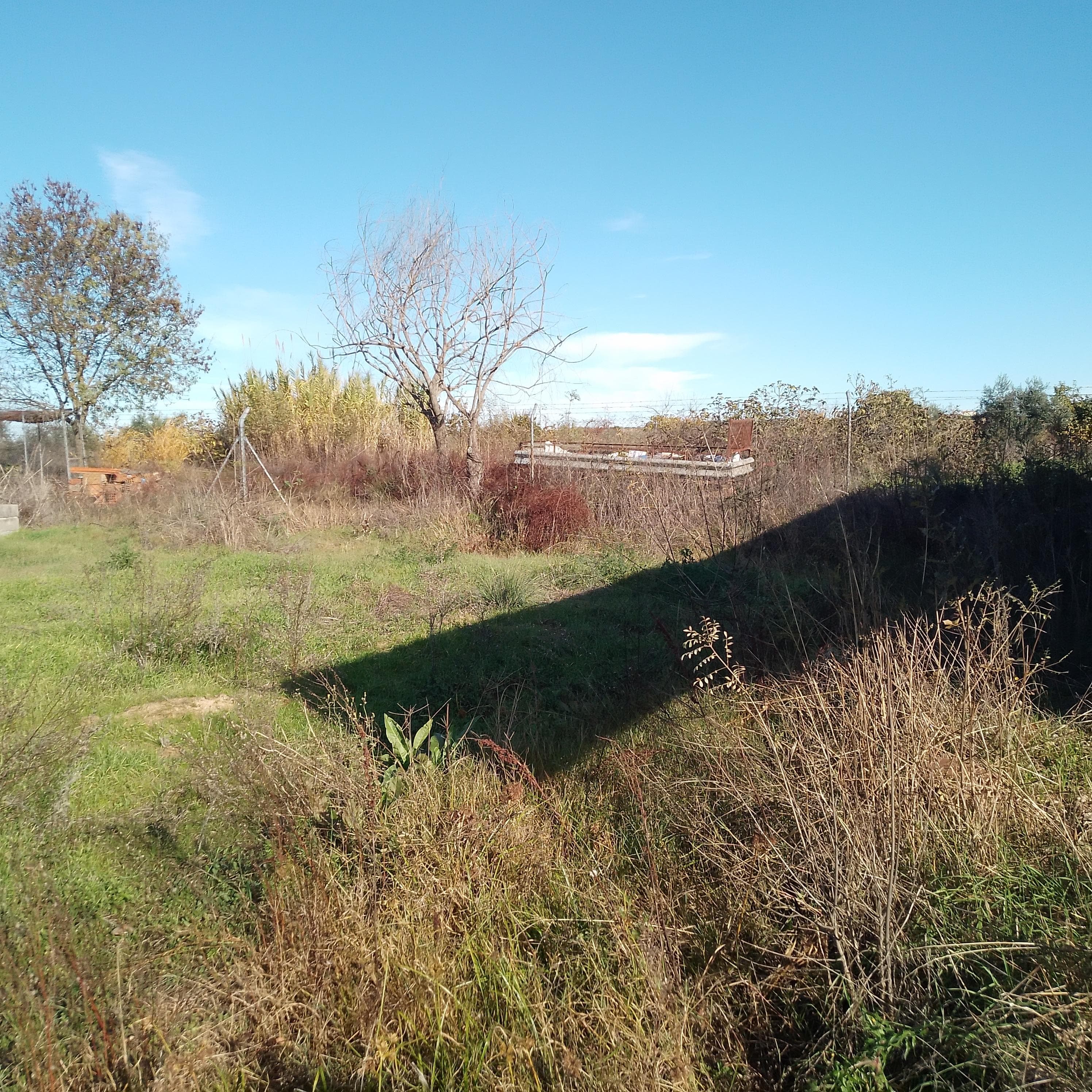 Terreno
