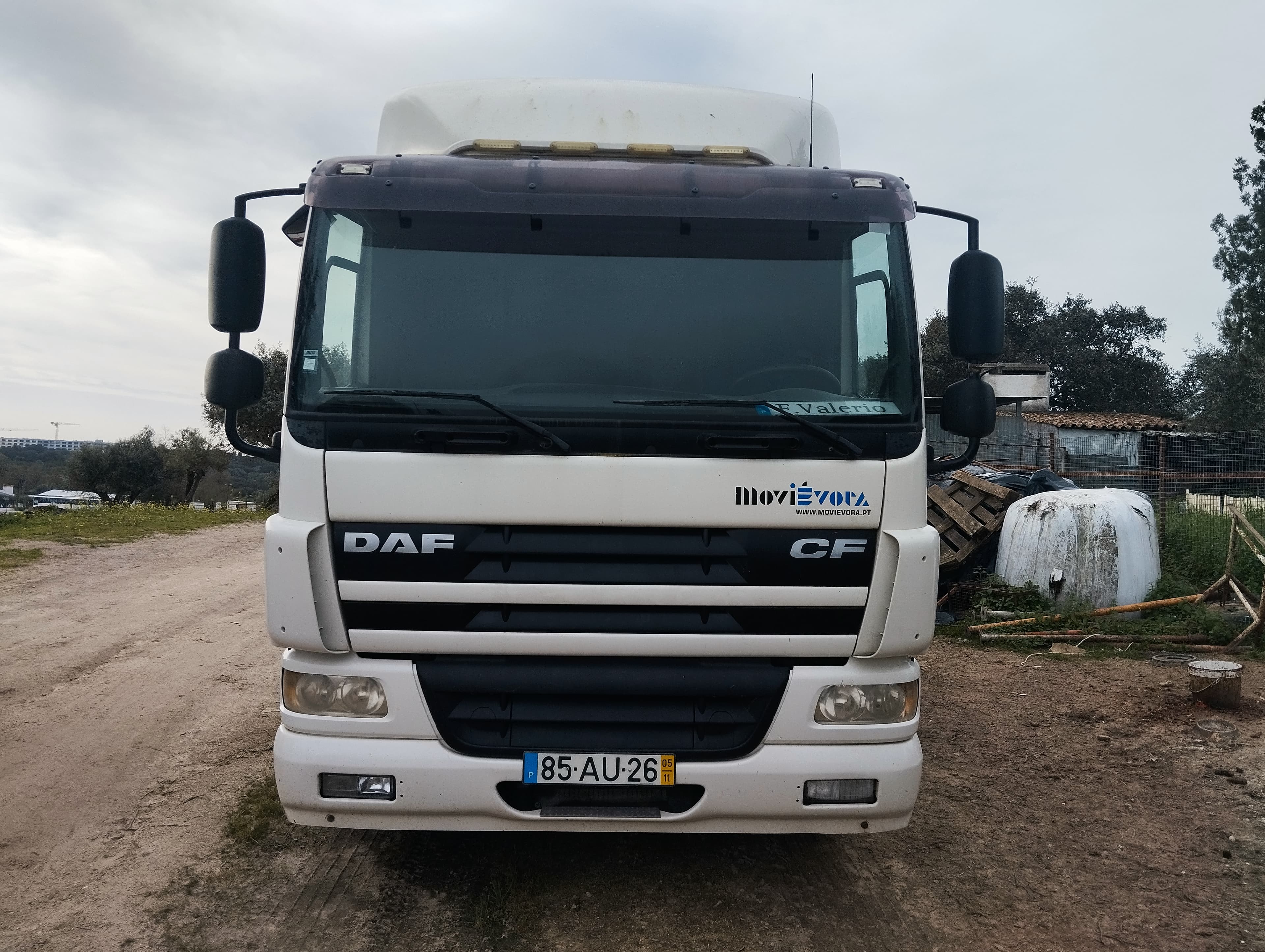 Daf CF