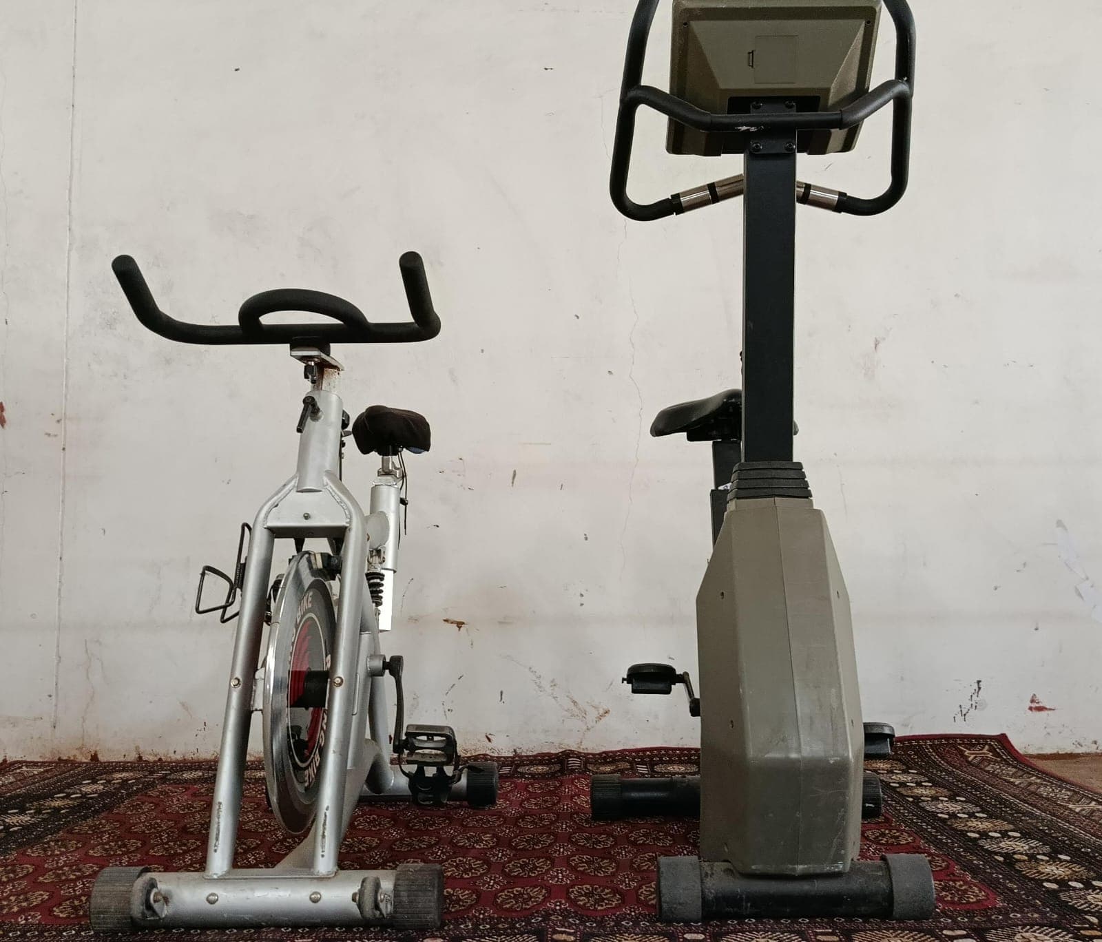 Bicicletas de Exercício Genesis