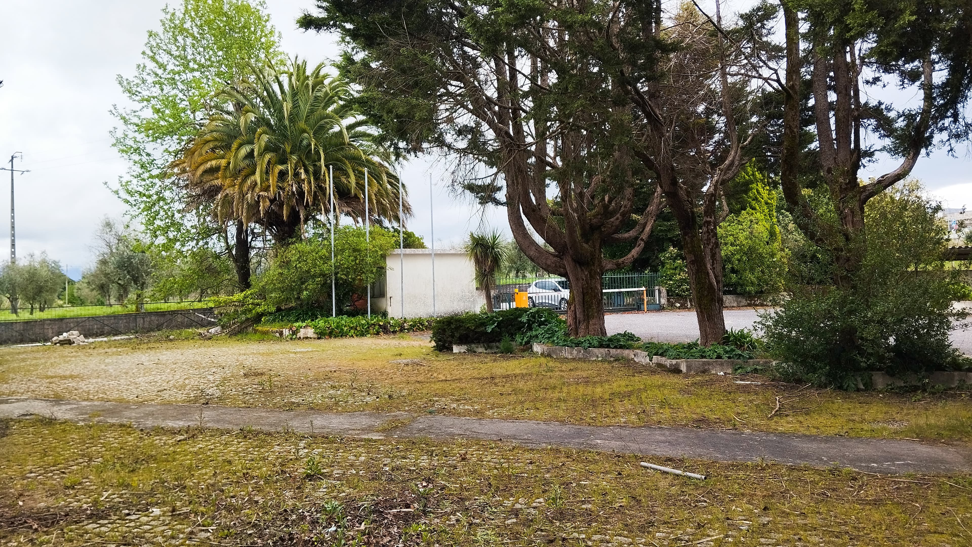 Terreno