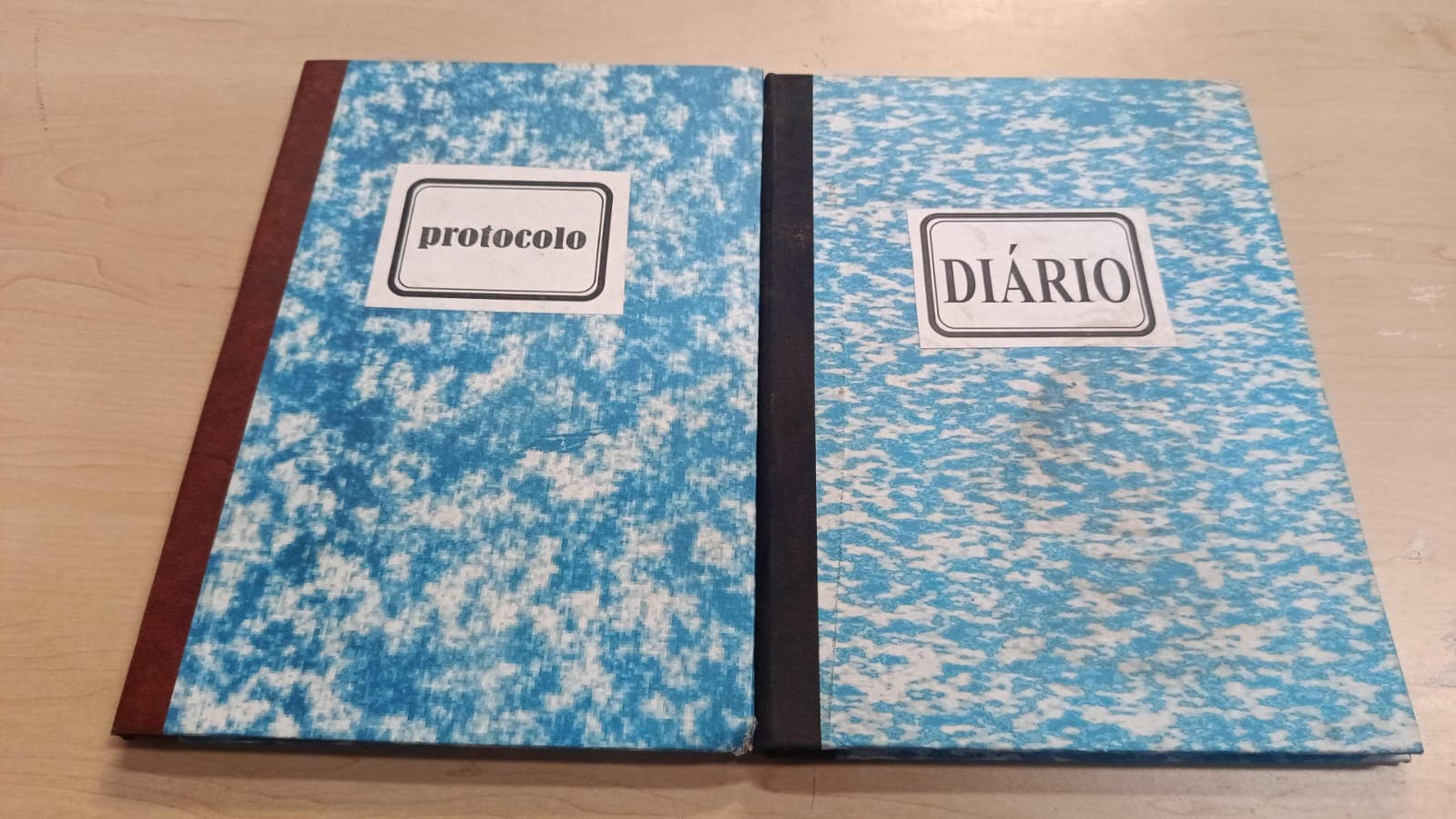 Livros de protocolo/Diário