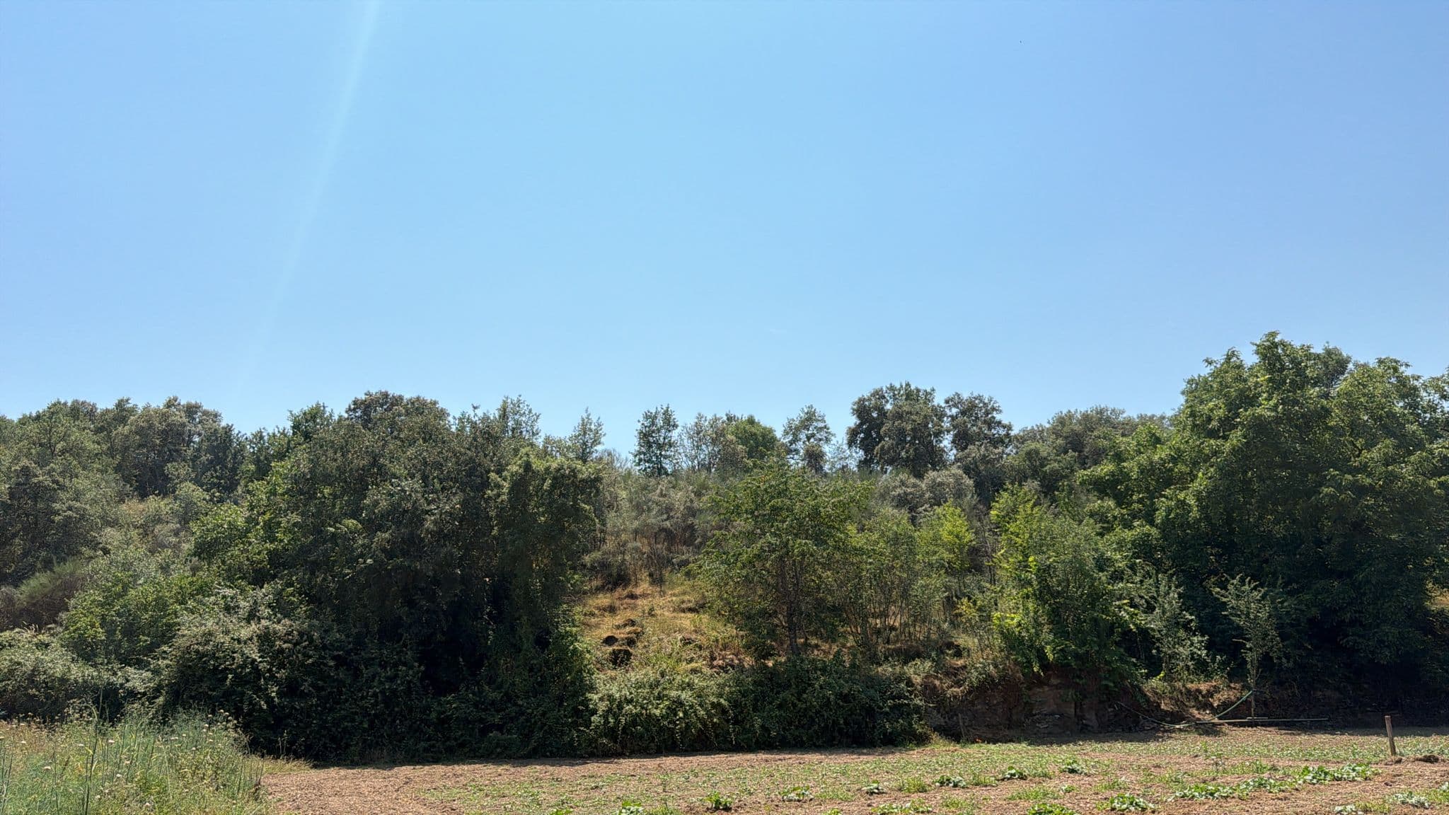 Quinhão Hereditário