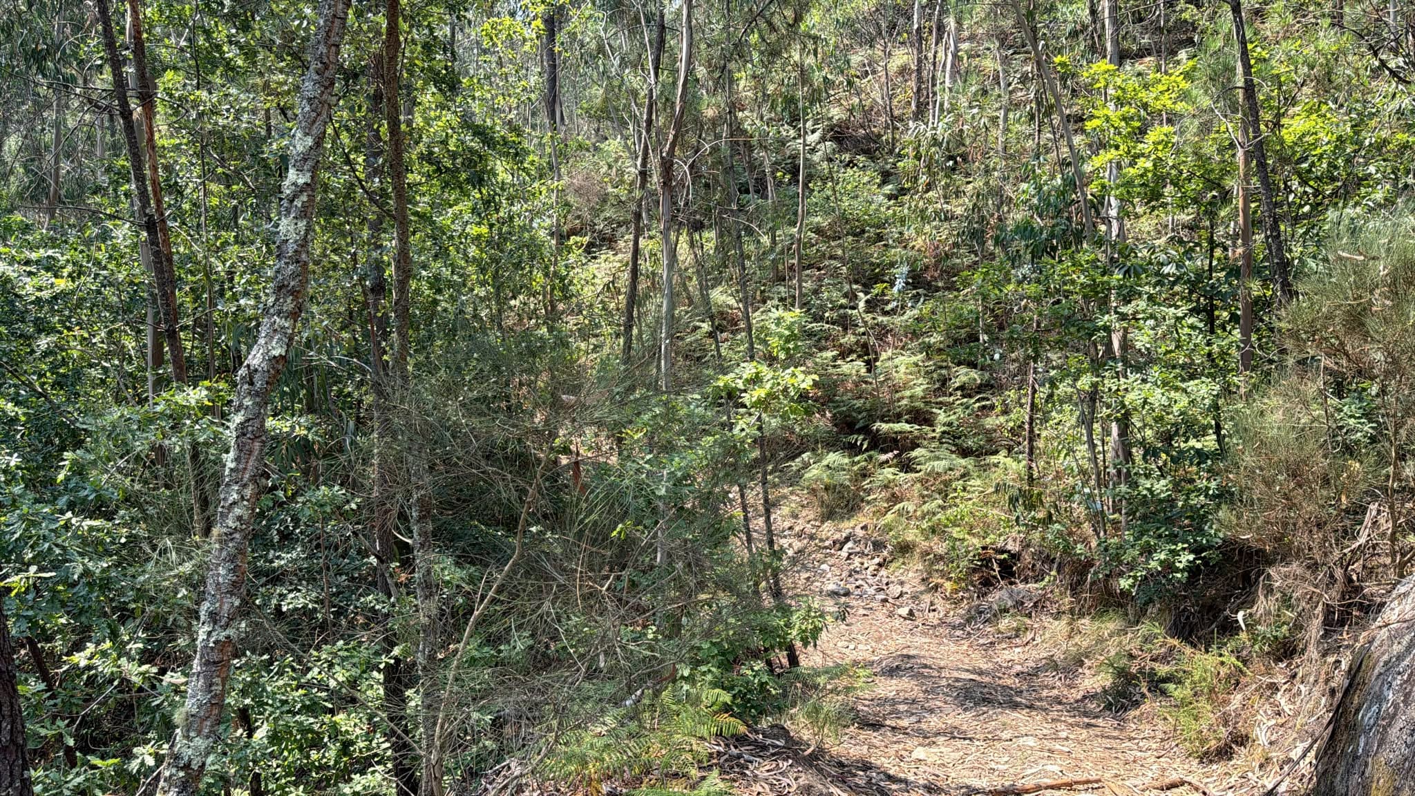 Quinhão Hereditário