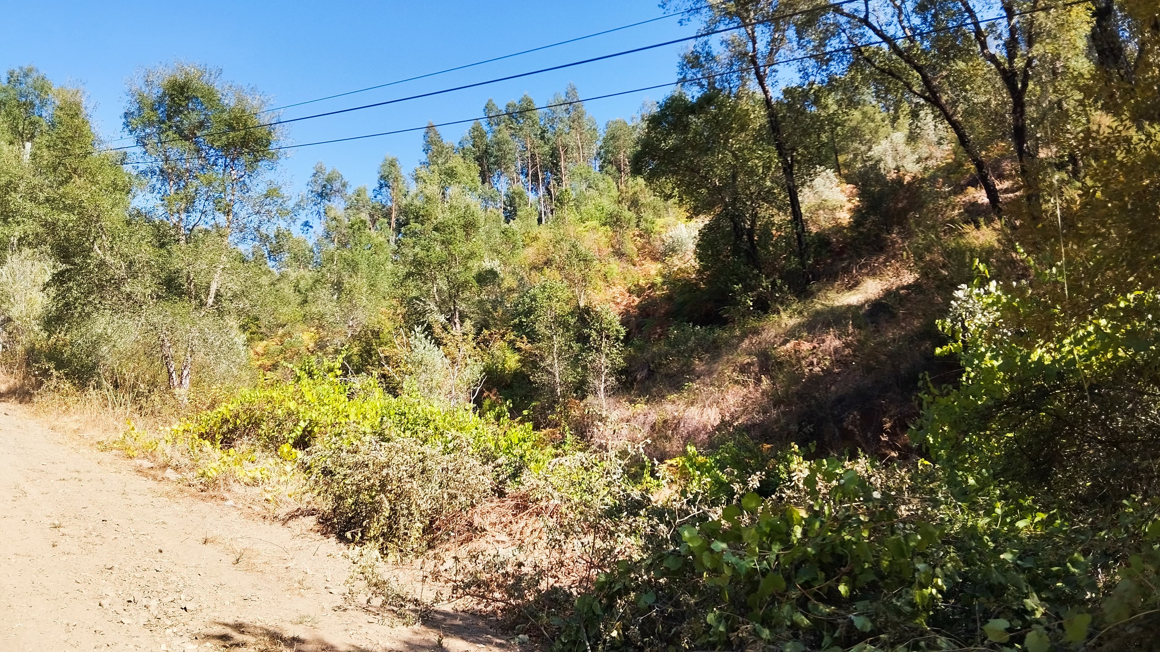 1/4 de Terreno