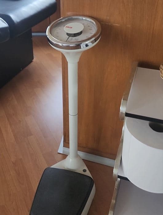 Balança Analógica