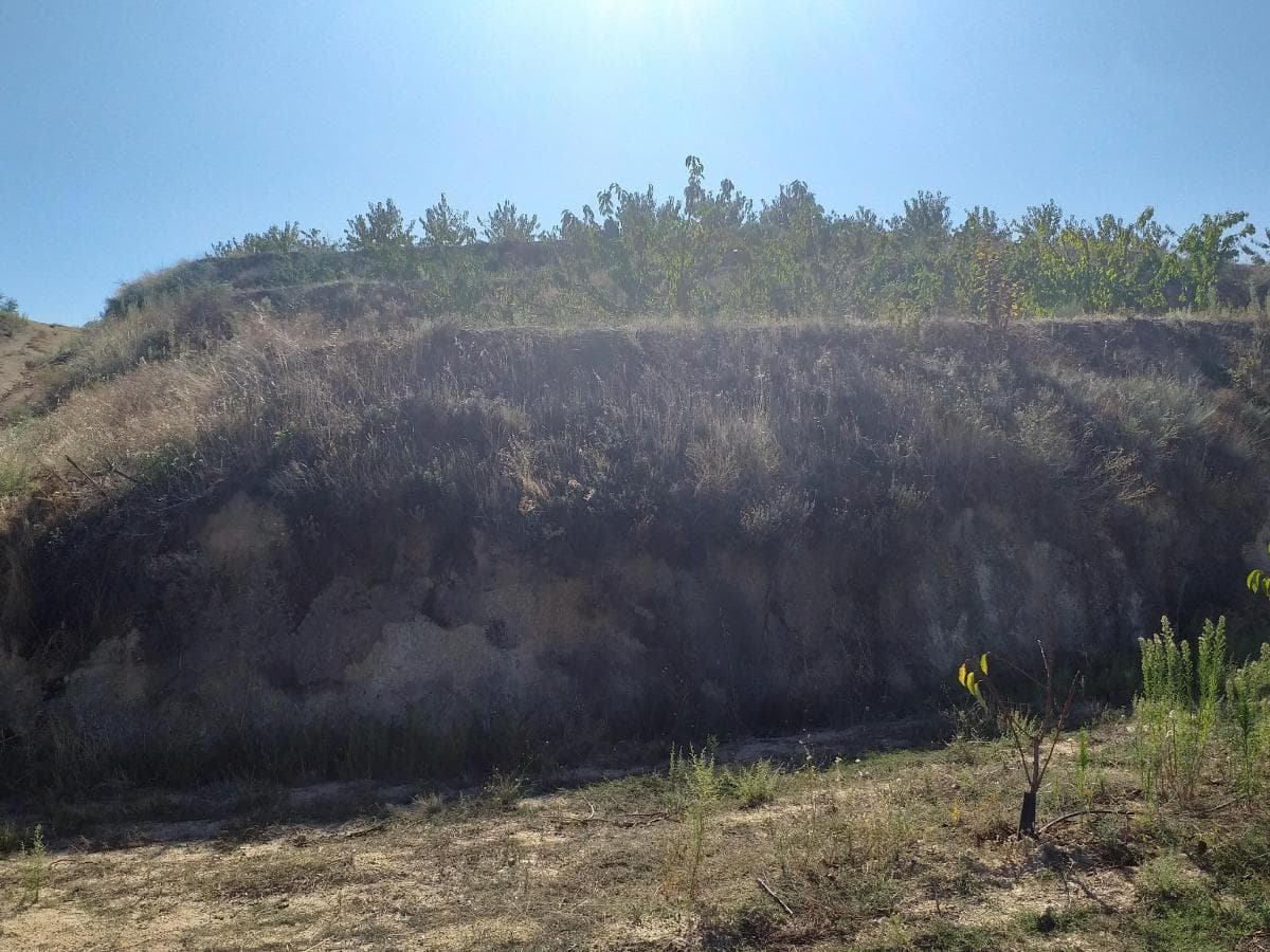 Terreno c/ +5.000ha · Covilhã — imagen 4