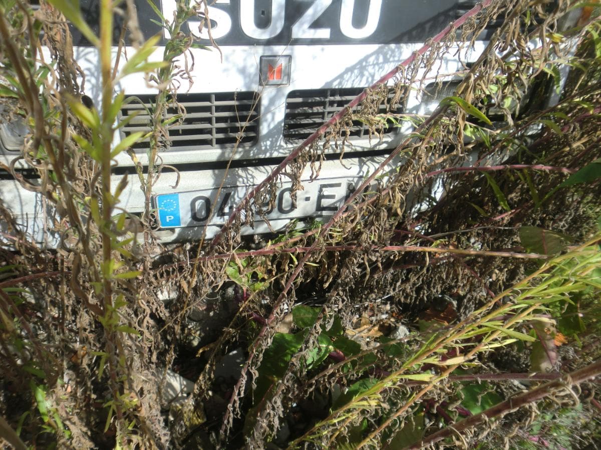 Veículos — imagen 25