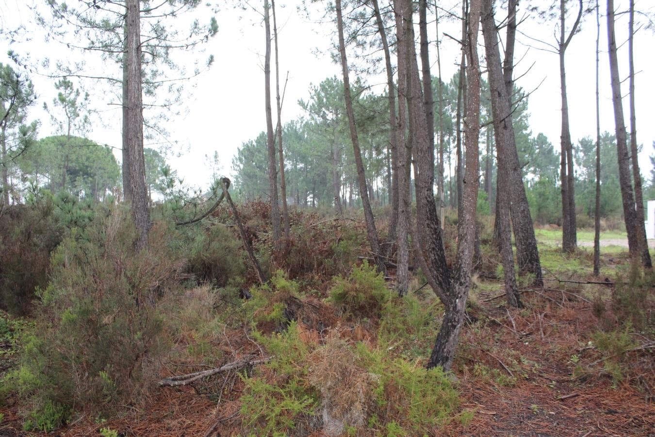 638/6085 Terreno · Sesimbra — imagen 4