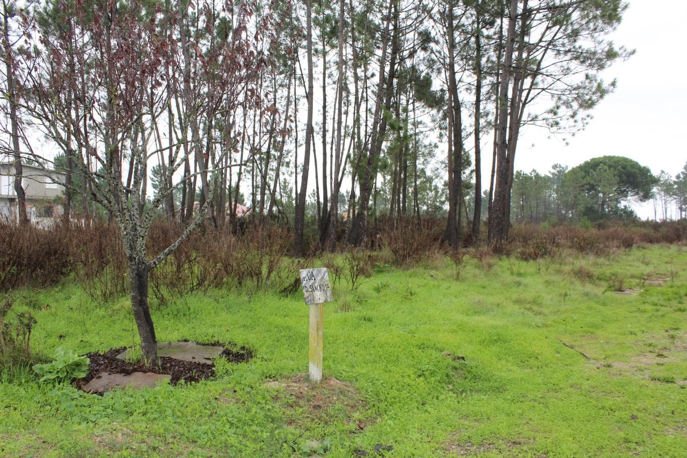 638/6085 Terreno · Sesimbra — imagen 1
