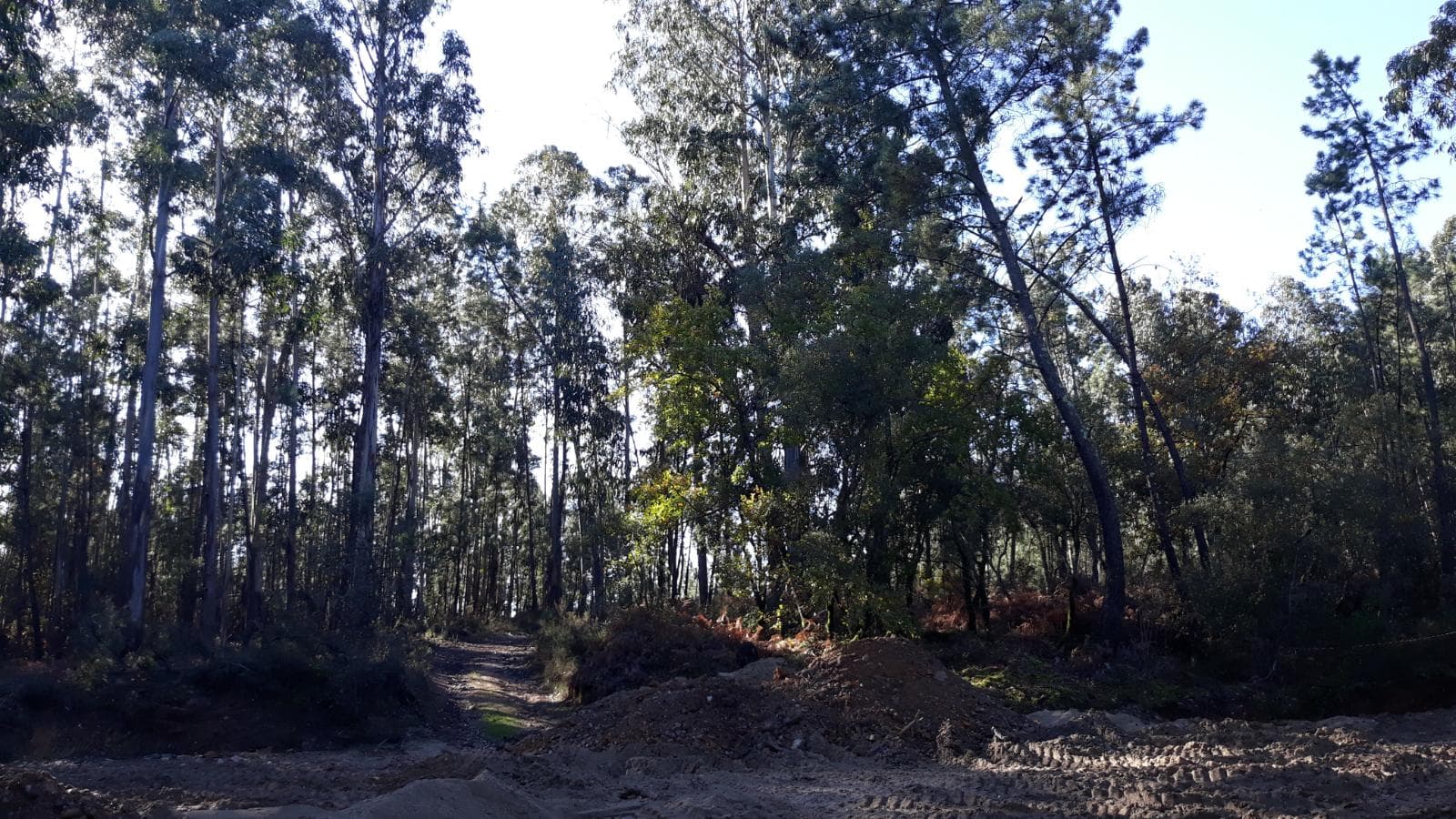 Quinhão Hereditário · Vila Nova de Poiares — imagen 1