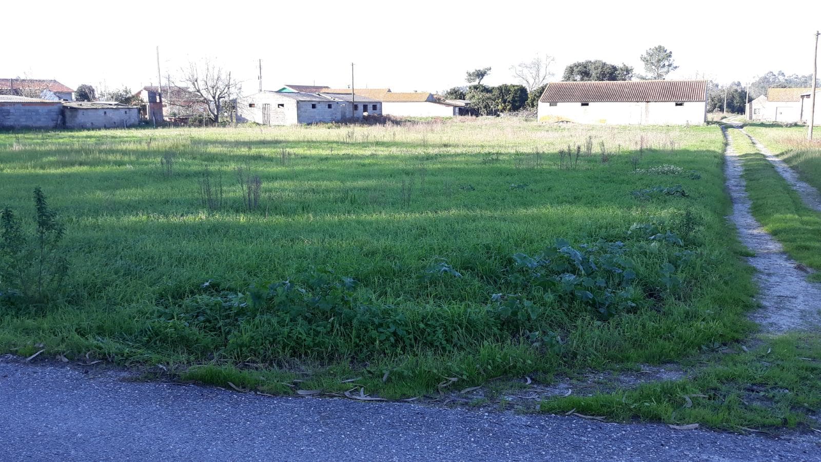 3/10 de Terreno · Montemor-o-Velho — imagem 1