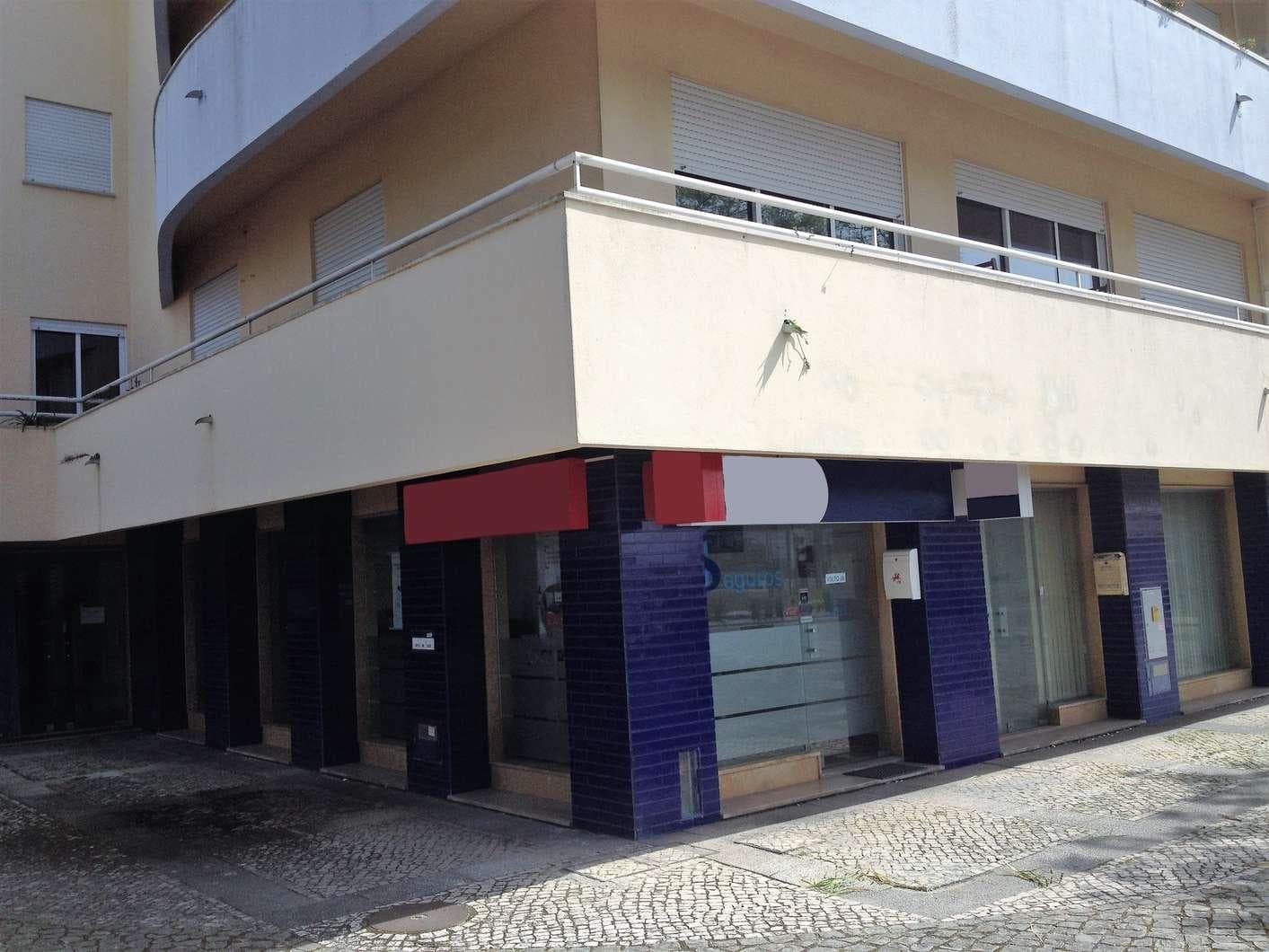 Loja — image 4