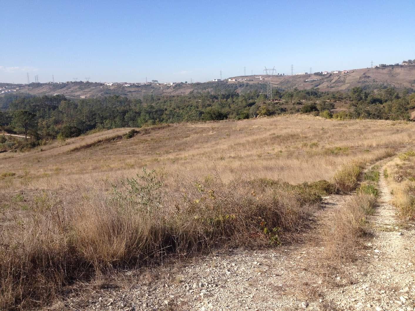 Terreno · Batalha — image 5
