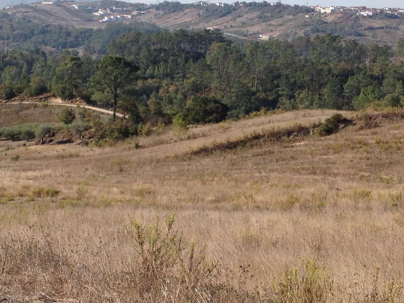 Terreno · Batalha — image 6