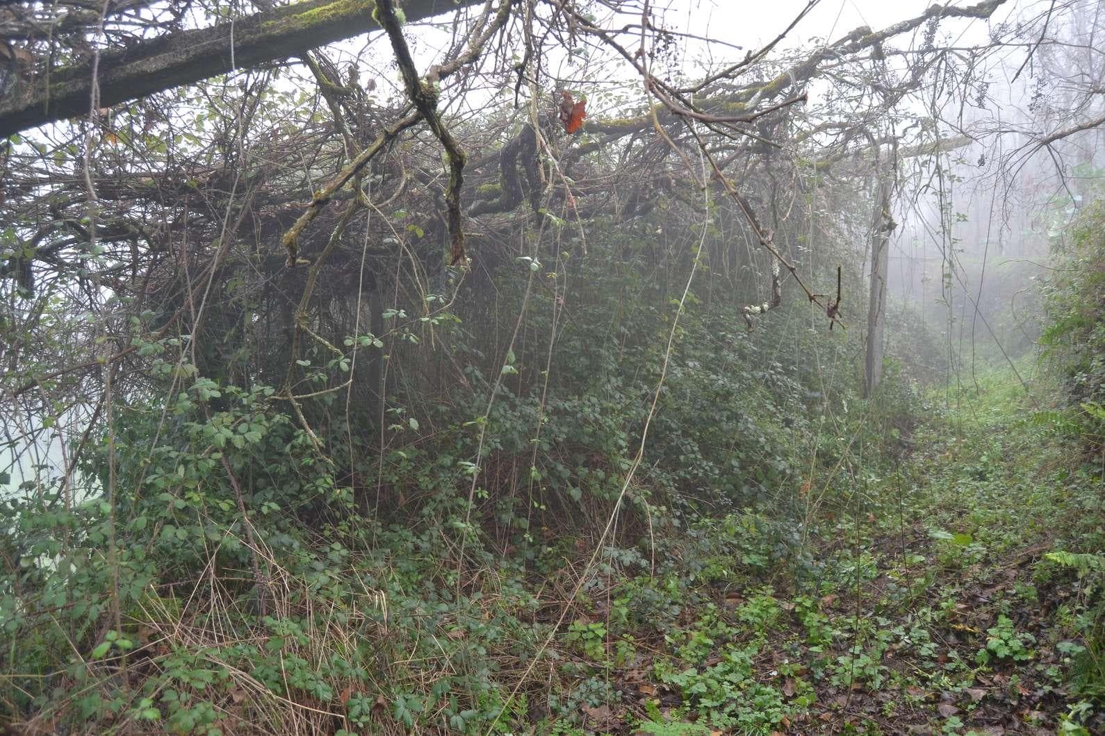 Terreno · Marco de Canaveses — imagen 3