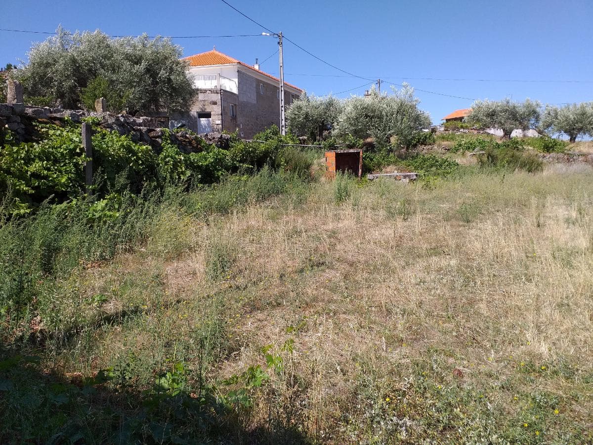 Proporção de Terrenos e Arrecadação · Carrazeda de Ansiães — imagem 1