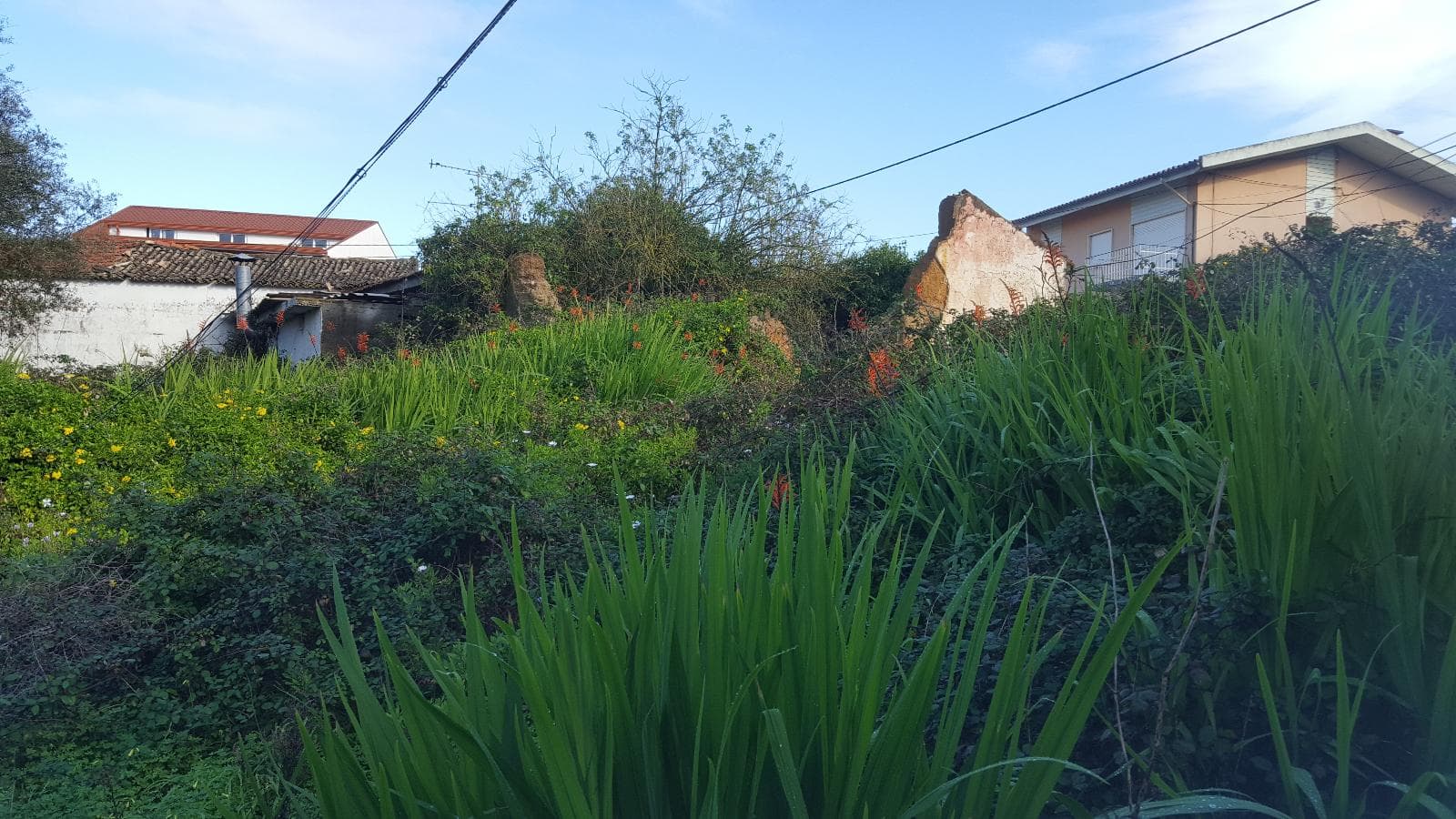 Moradias · Terreno · Coimbra — image 8