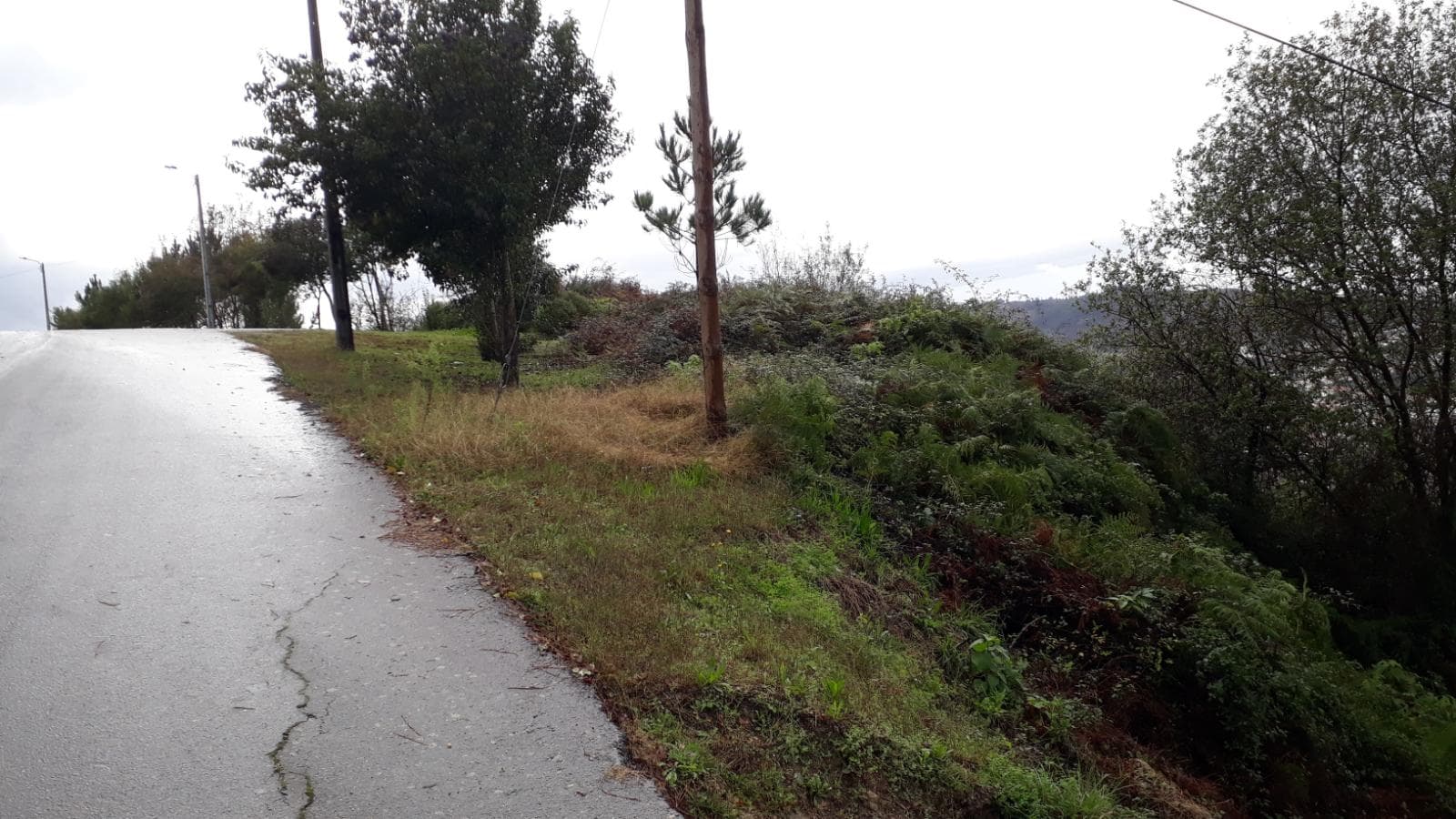 Terreno · Vizela — imagem 1