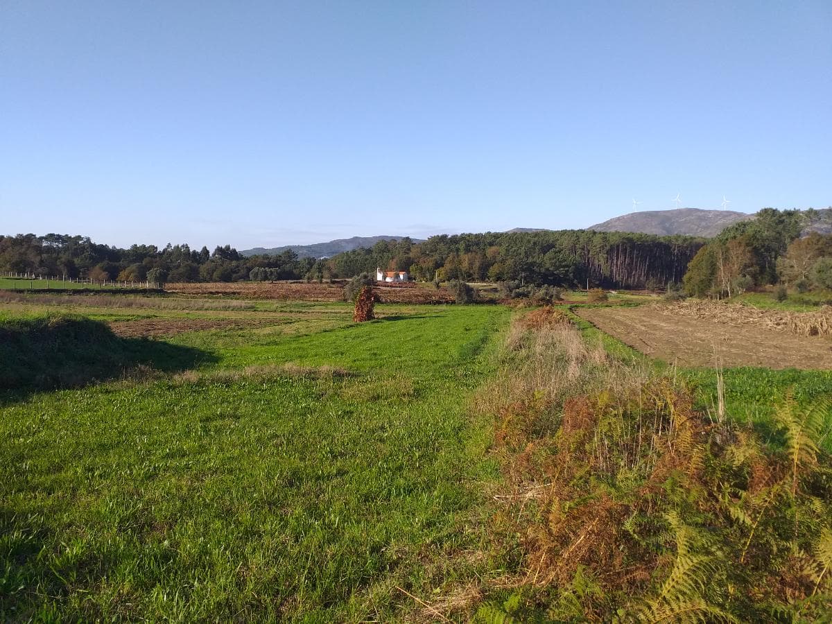 Terreno · Viana do Castelo — image 2